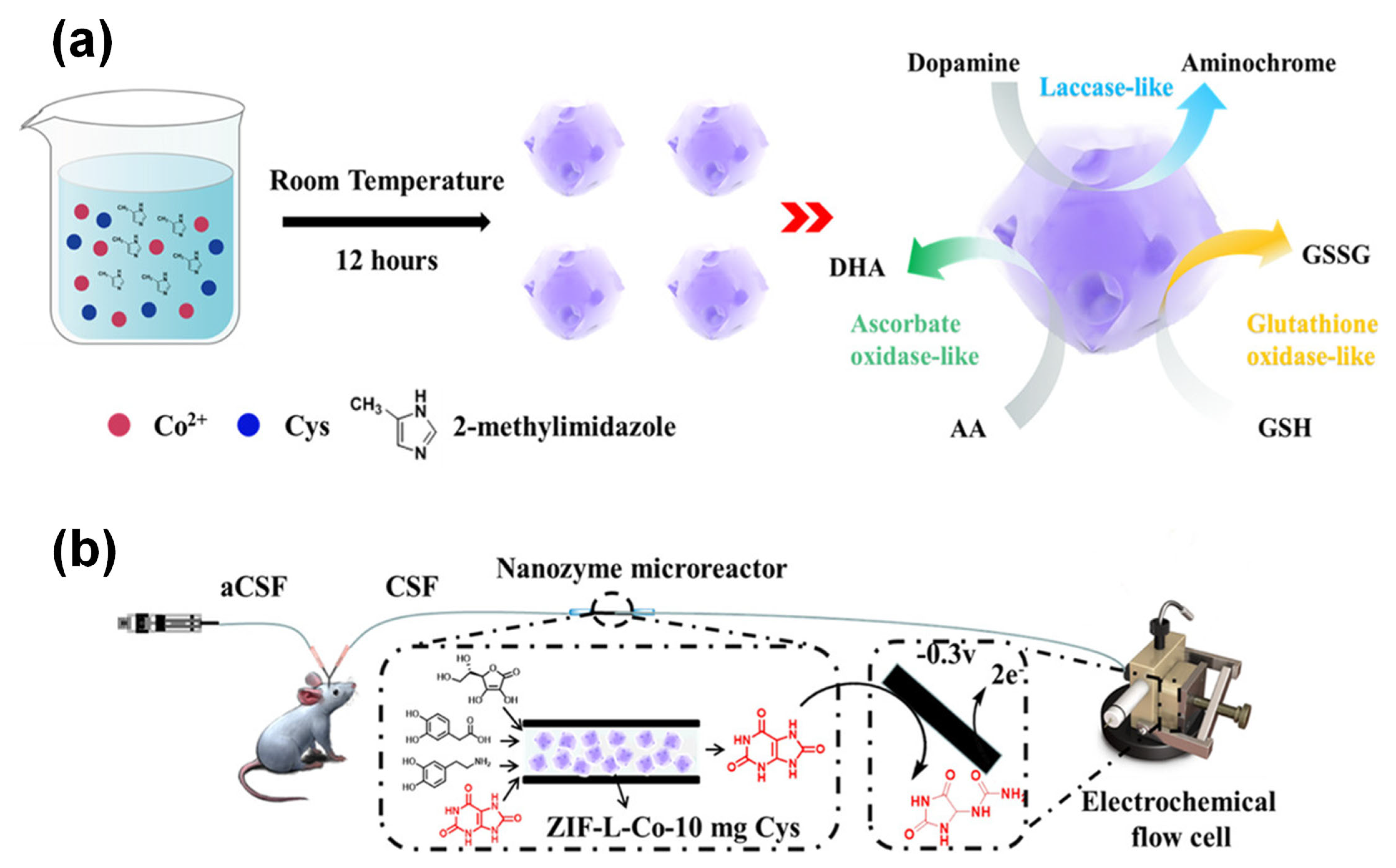 Biosensors 15 00437 g002