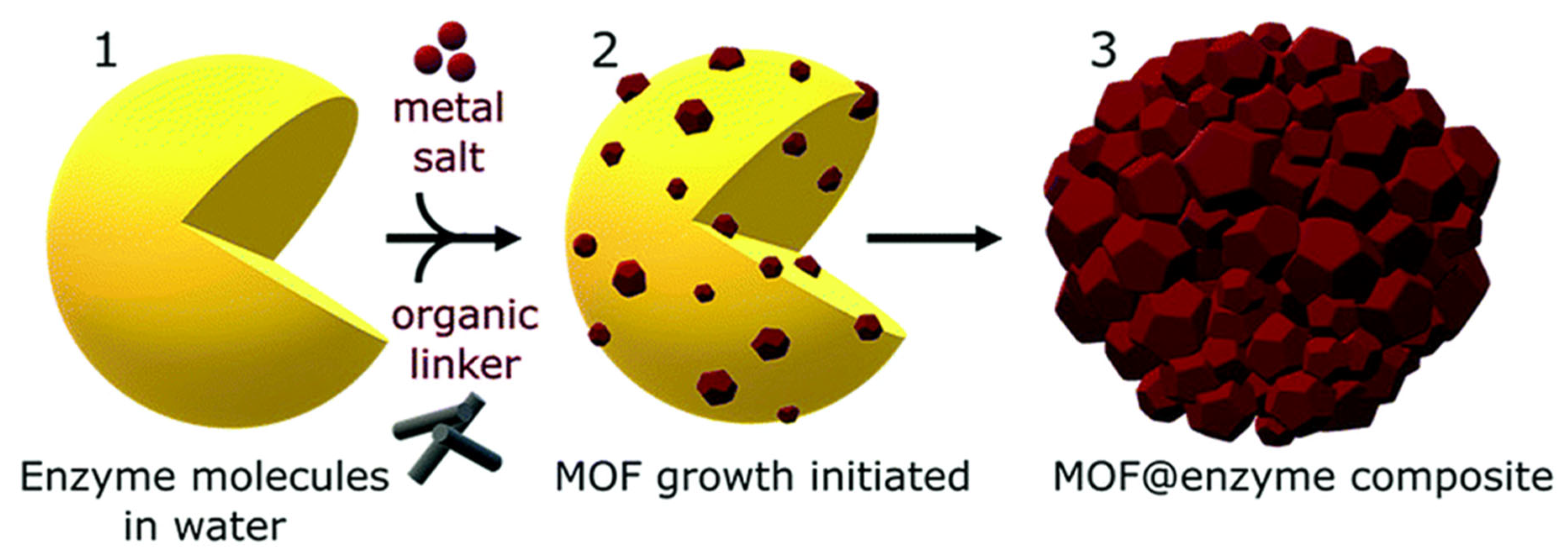 Biosensors 15 00437 g004