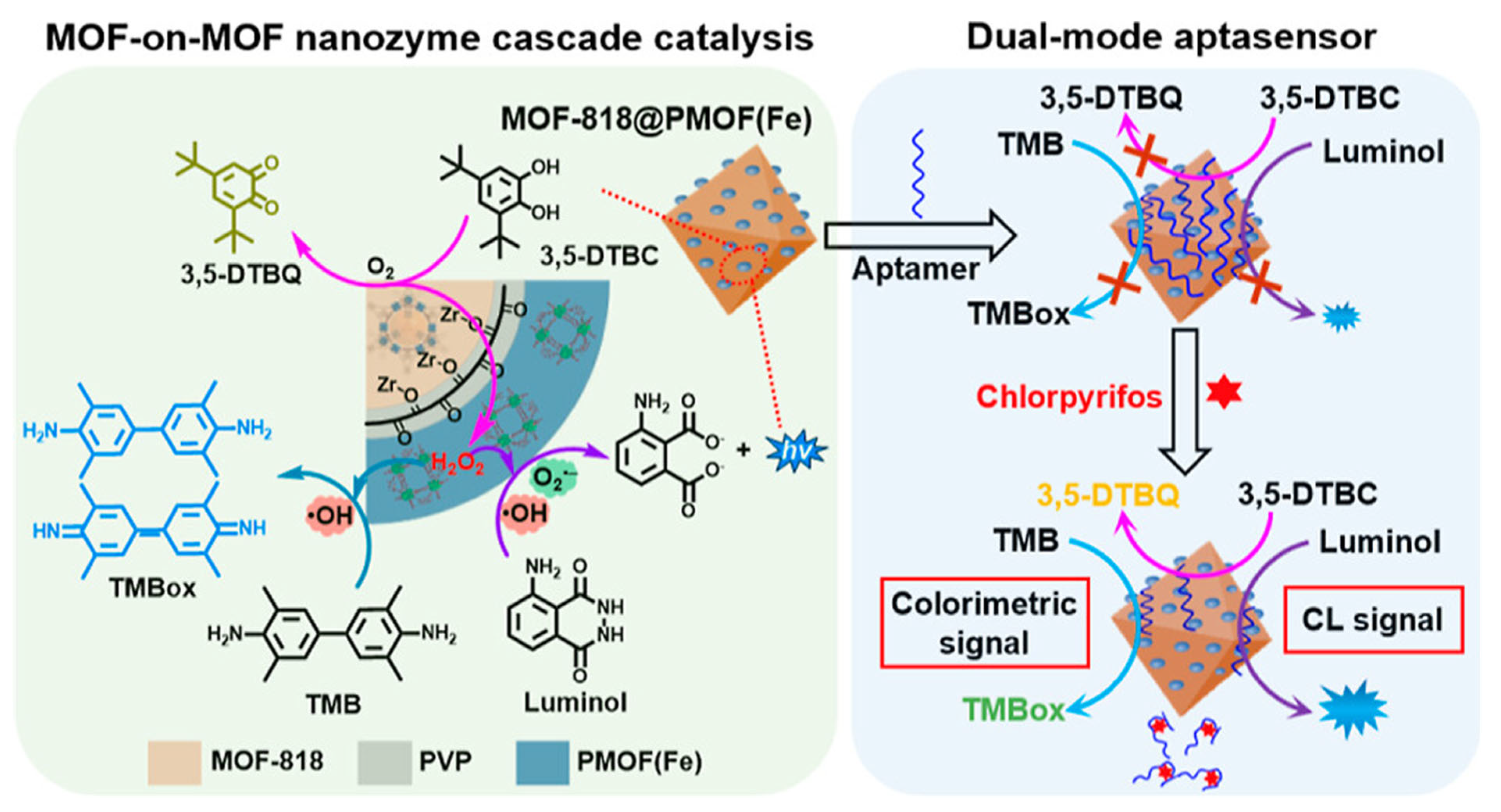 Biosensors 15 00437 g005