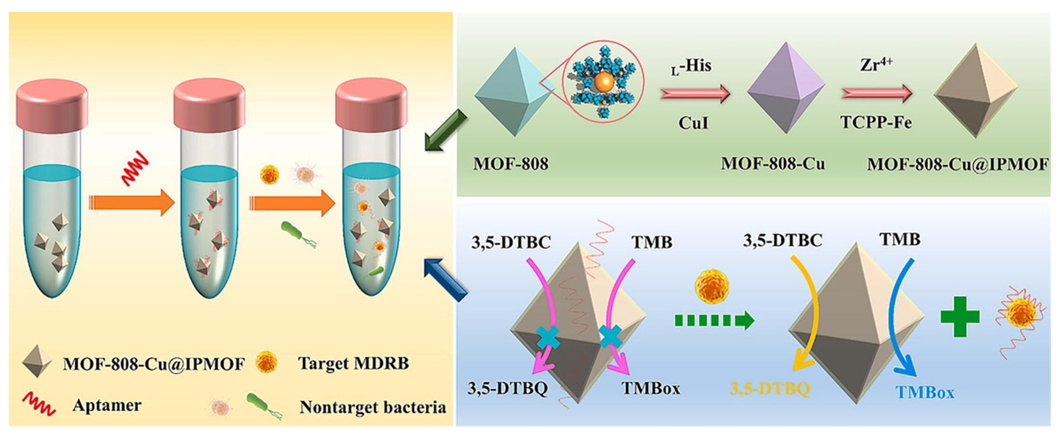 Biosensors 15 00437 g007