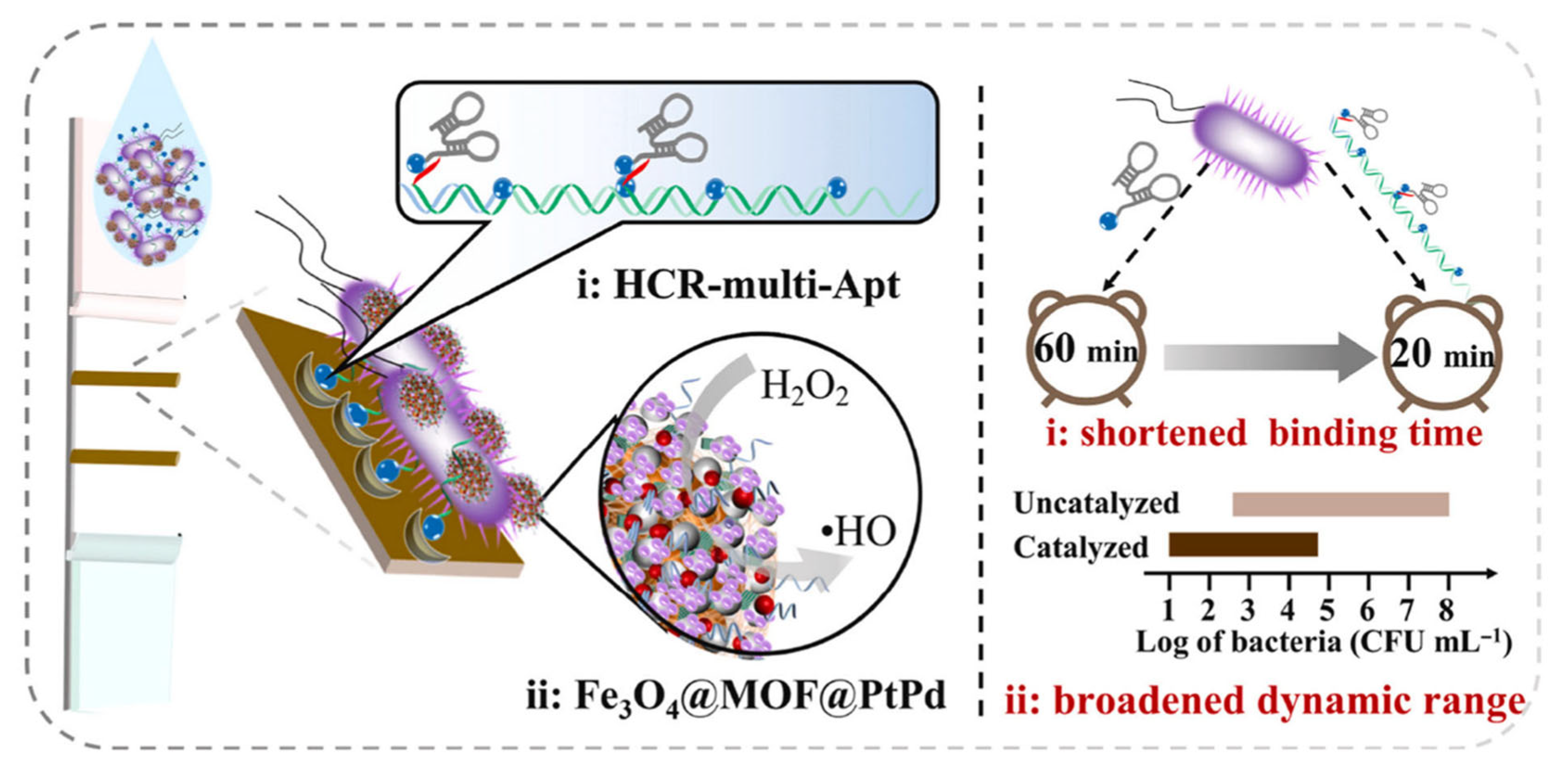 Biosensors 15 00437 g010