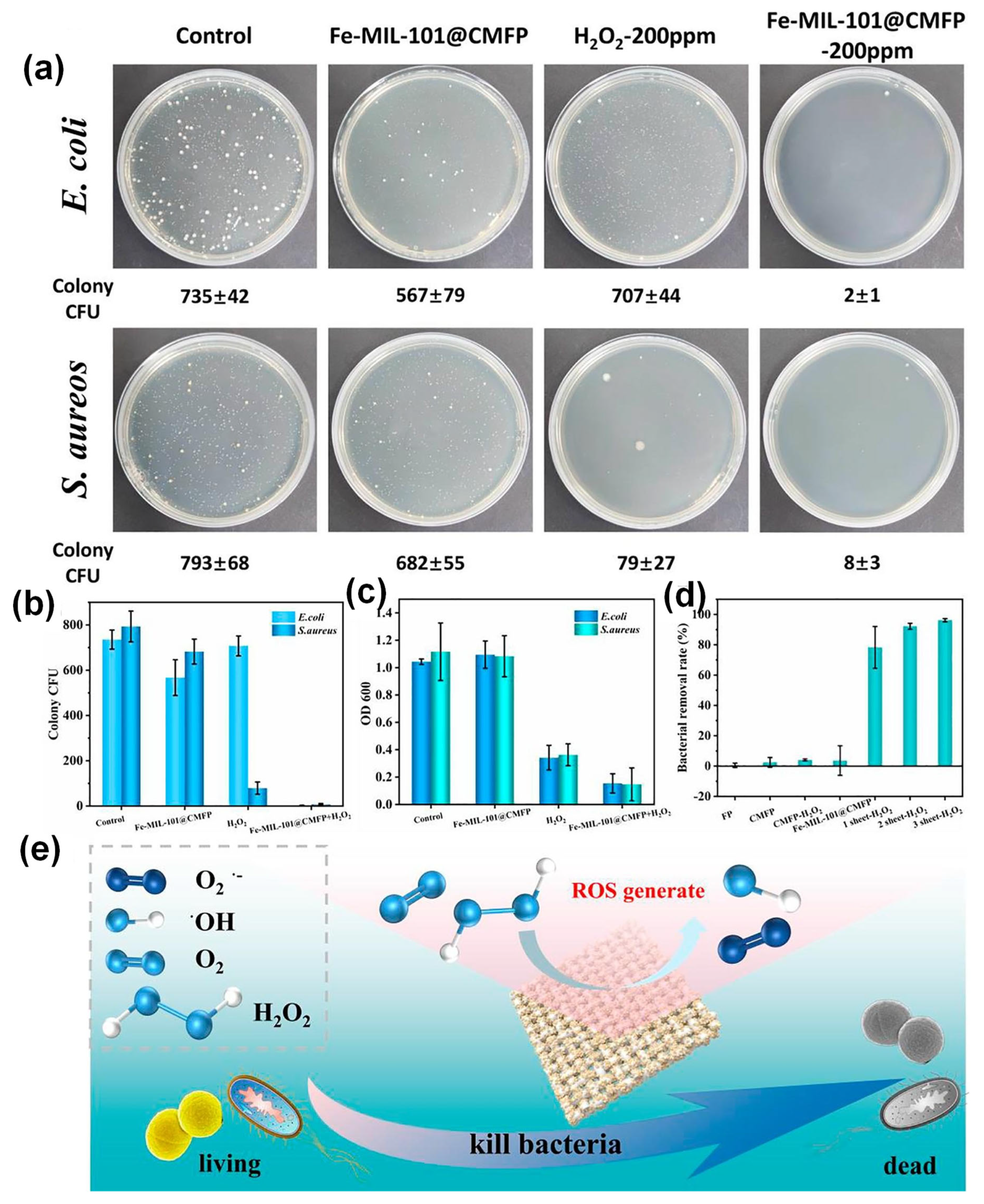 Biosensors 15 00437 g011