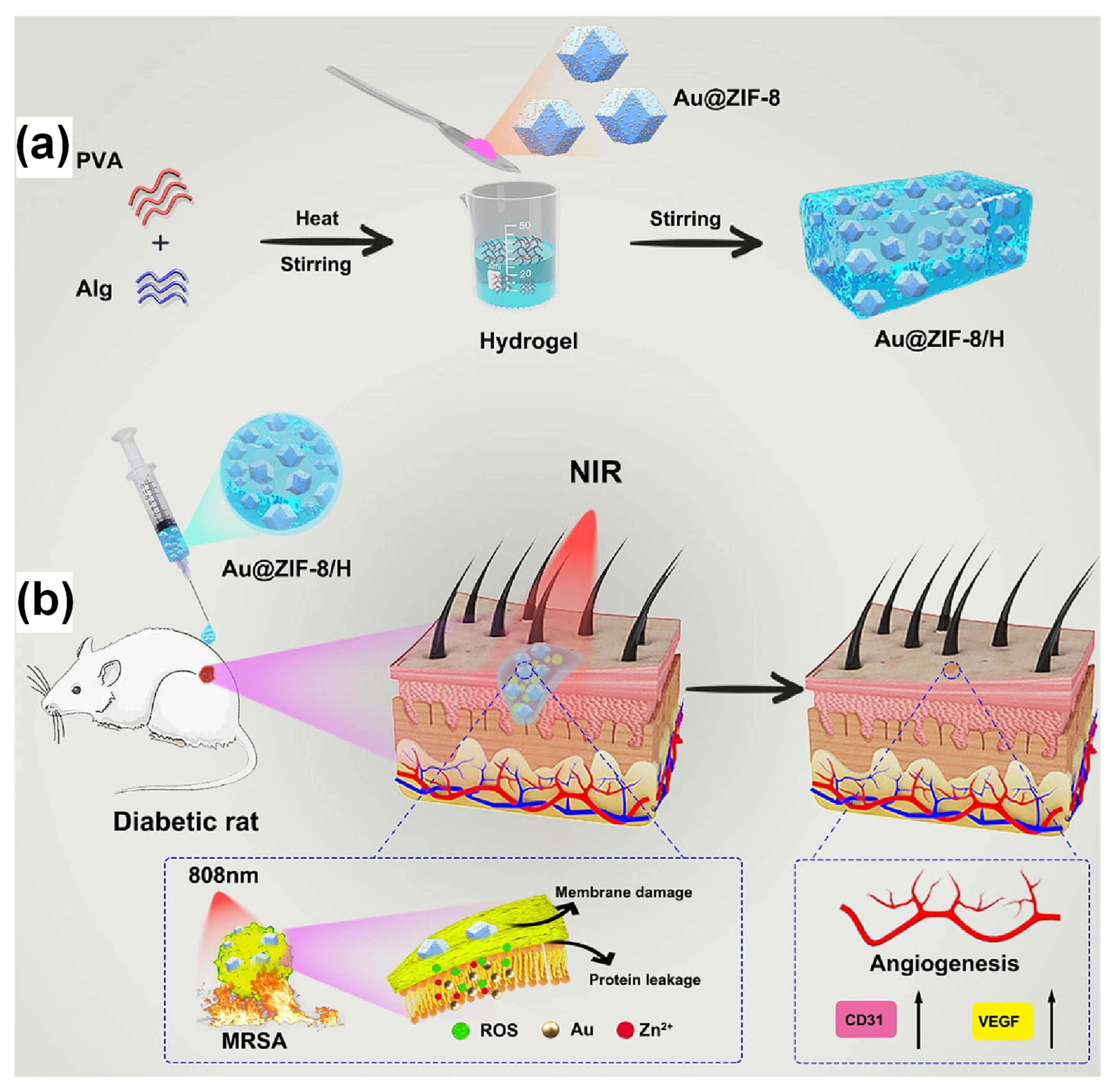 Biosensors 15 00437 g012