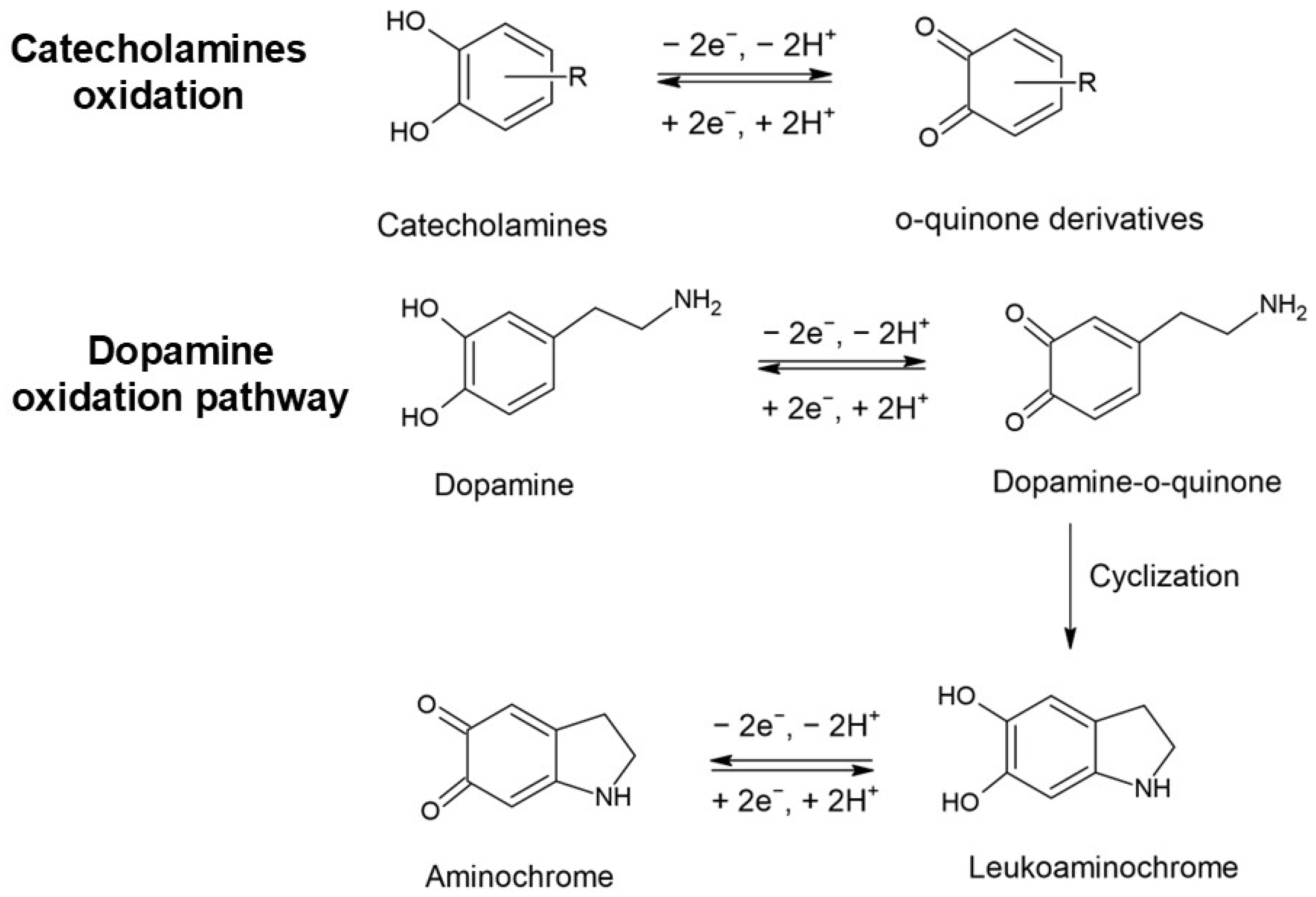 Biosensors 15 00440 g001 Biosensors 15 00440 g001