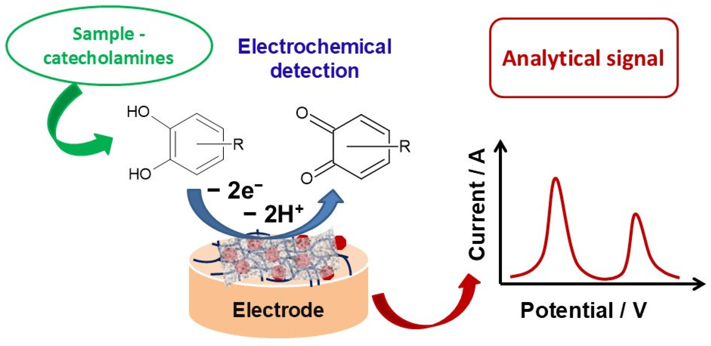 Biosensors 15 00440 g004 Biosensors 15 00440 g004