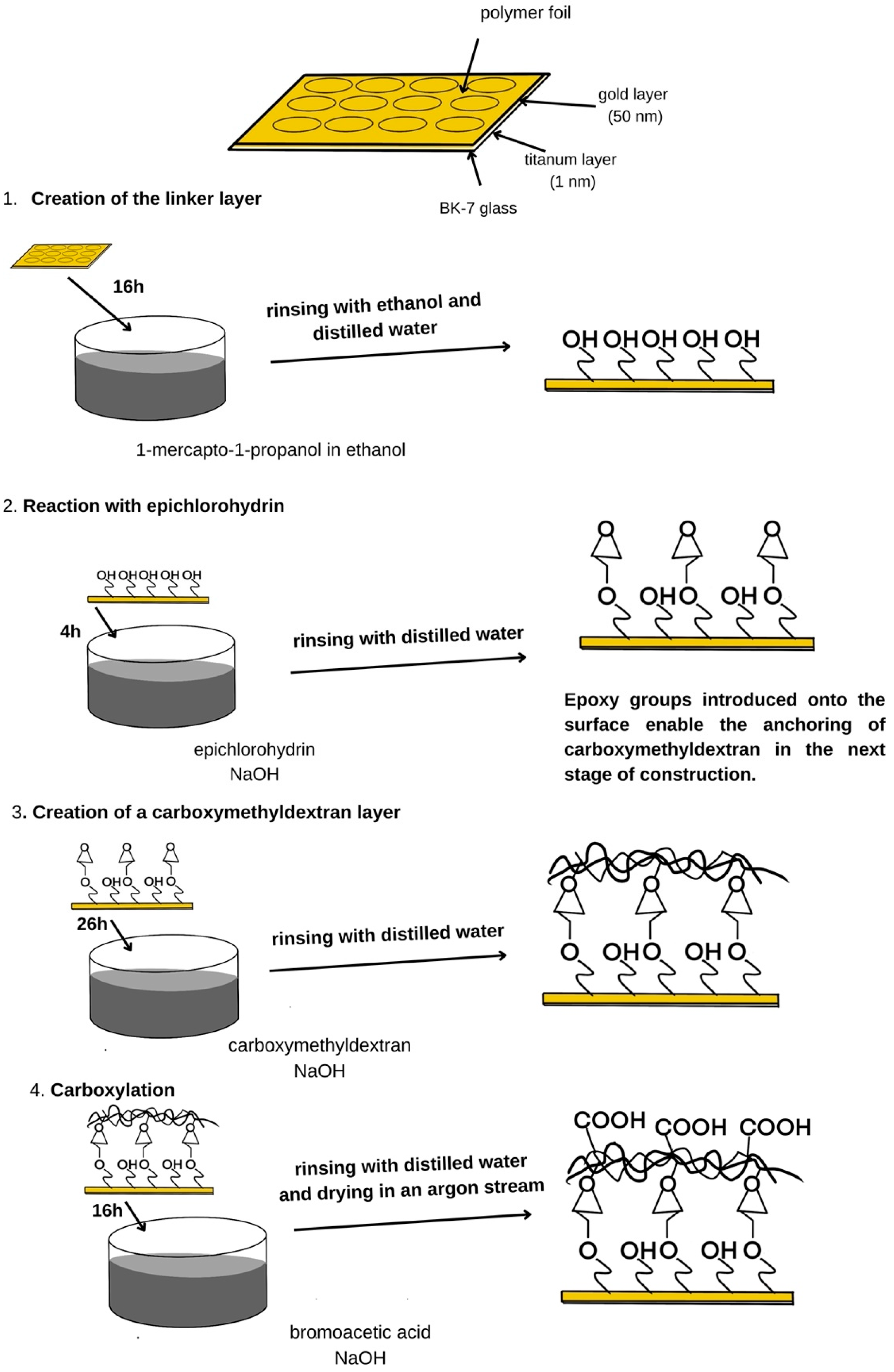 Biosensors 15 00444 g002