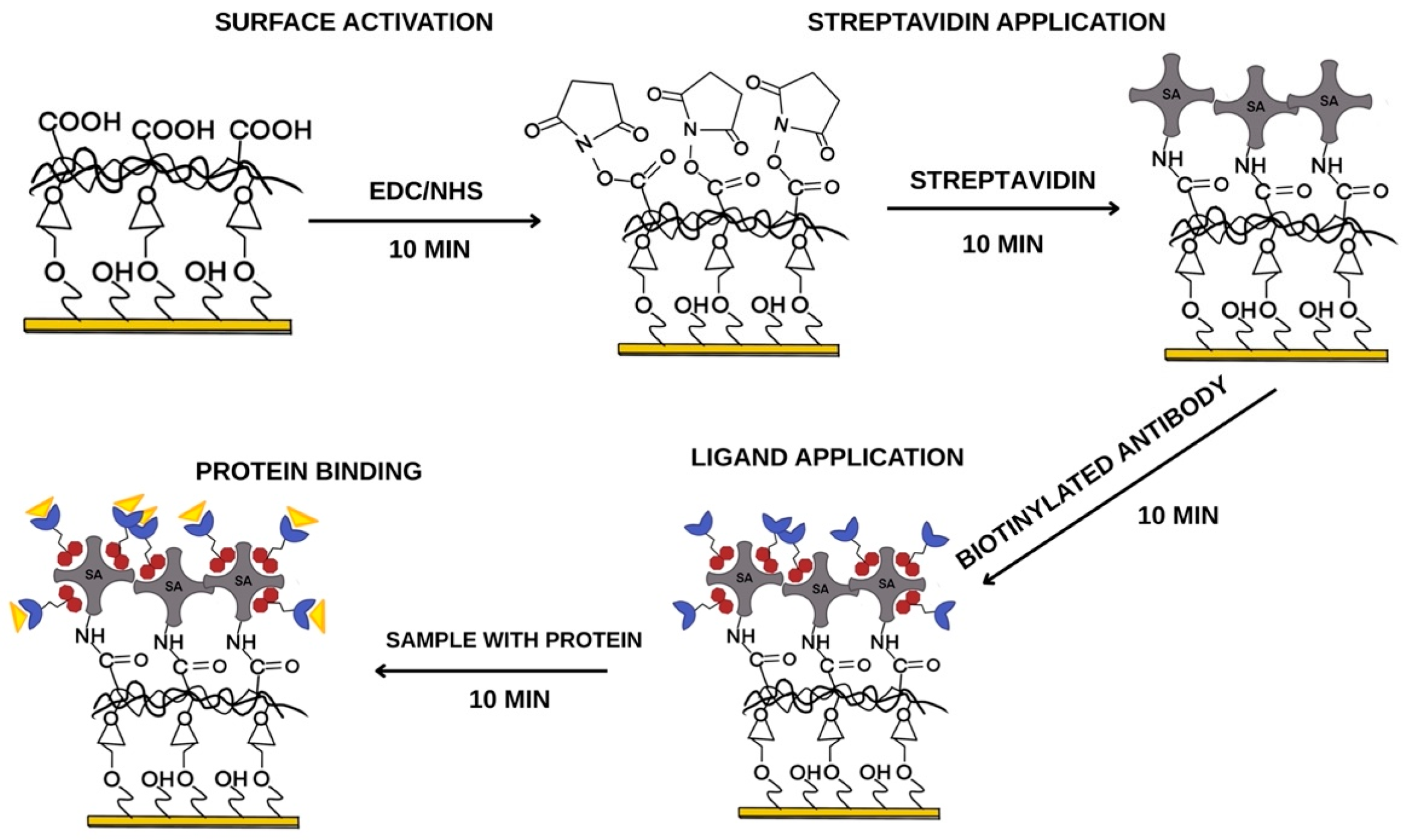 Biosensors 15 00444 g003