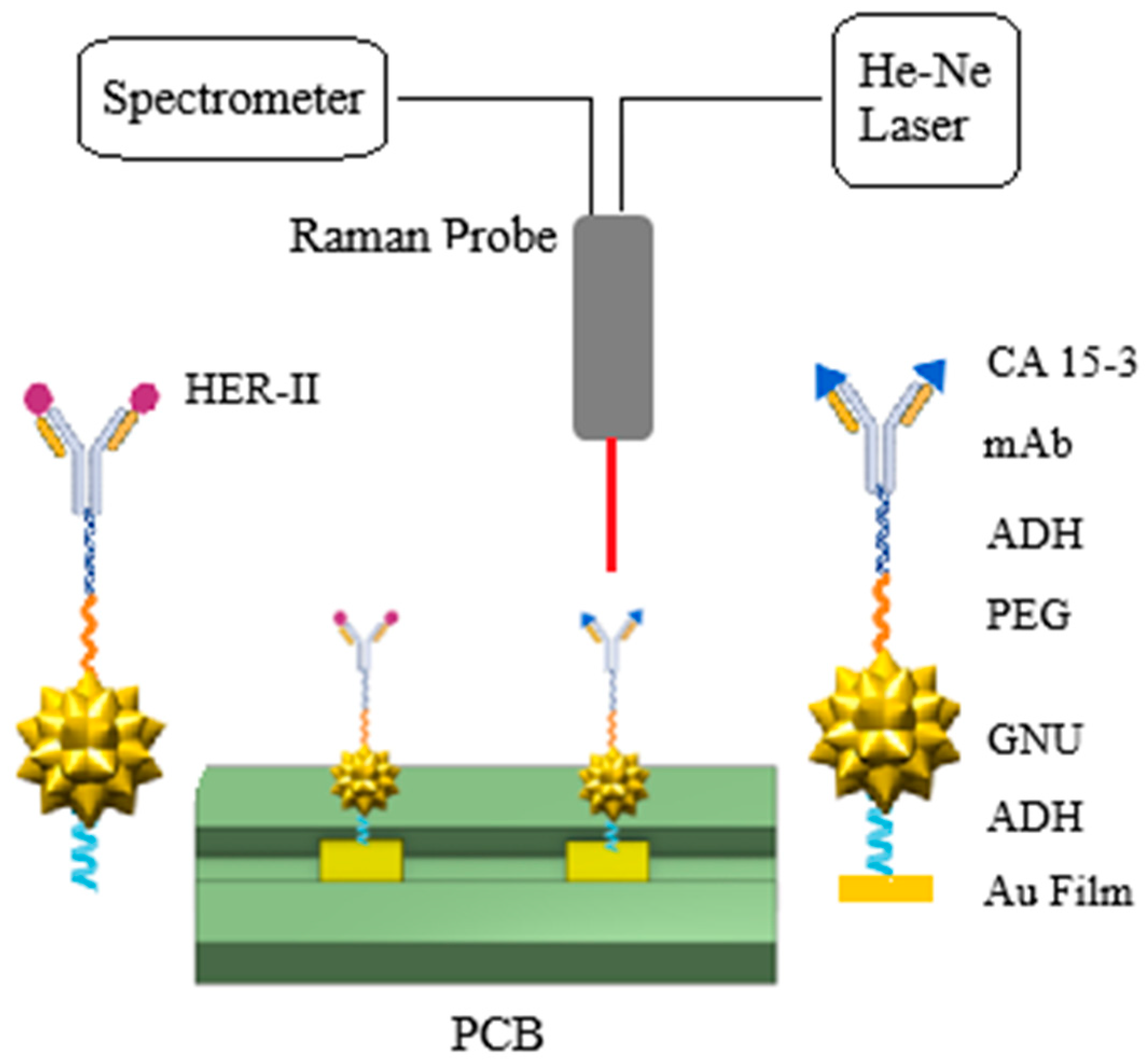 Biosensors 15 00447 g001
