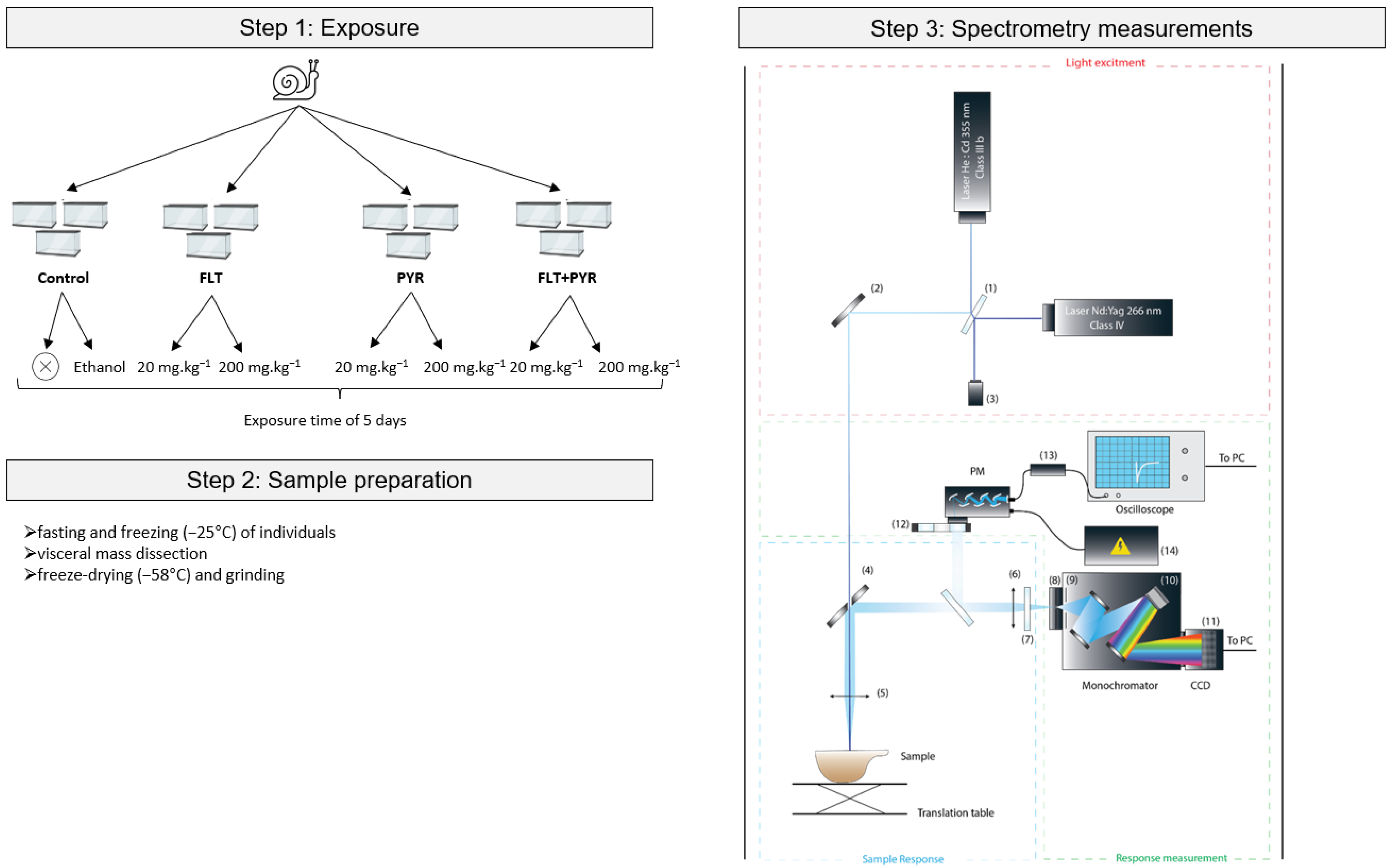 Biosensors 15 00450 g001