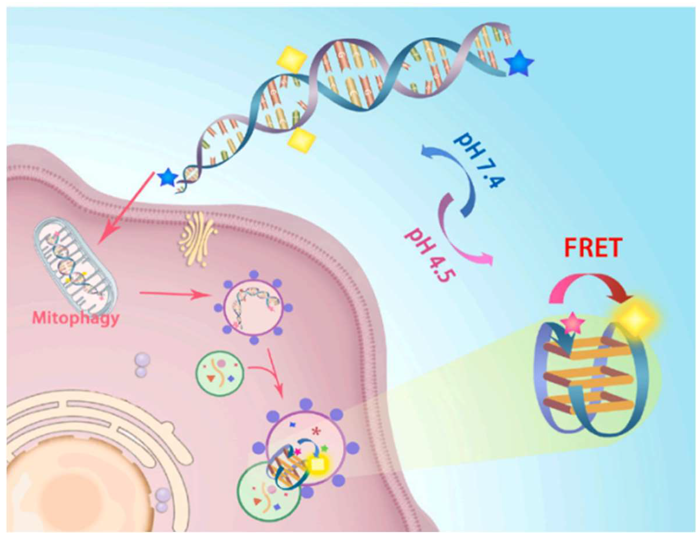 Biosensors 15 00452 g009