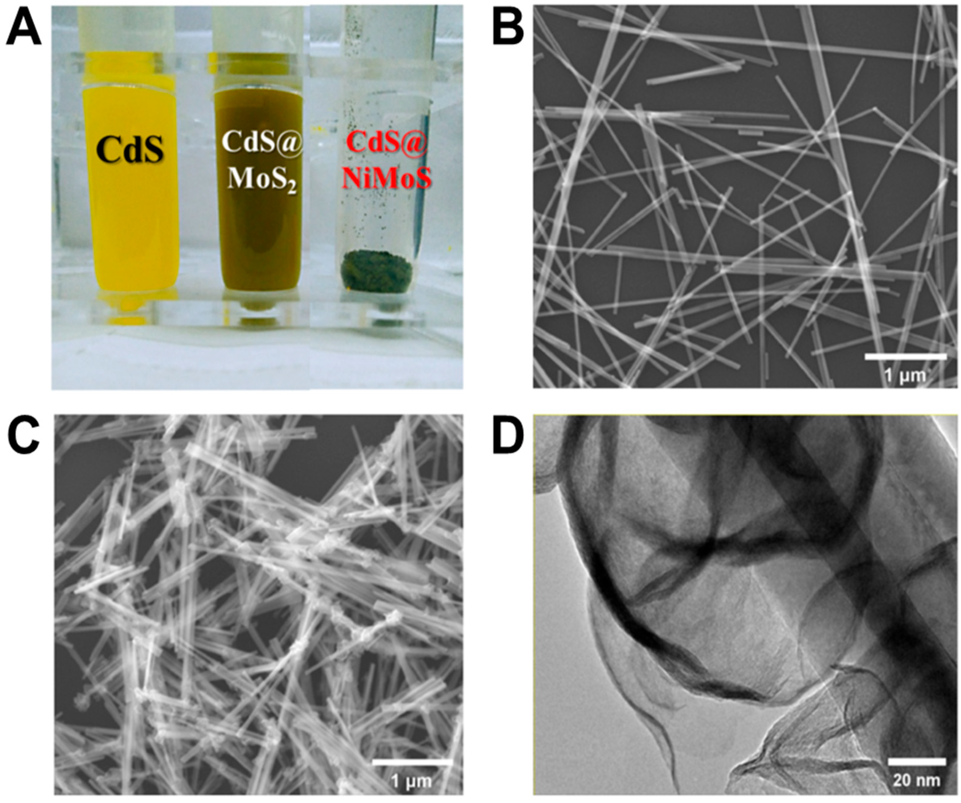 Biosensors 15 00454 g003