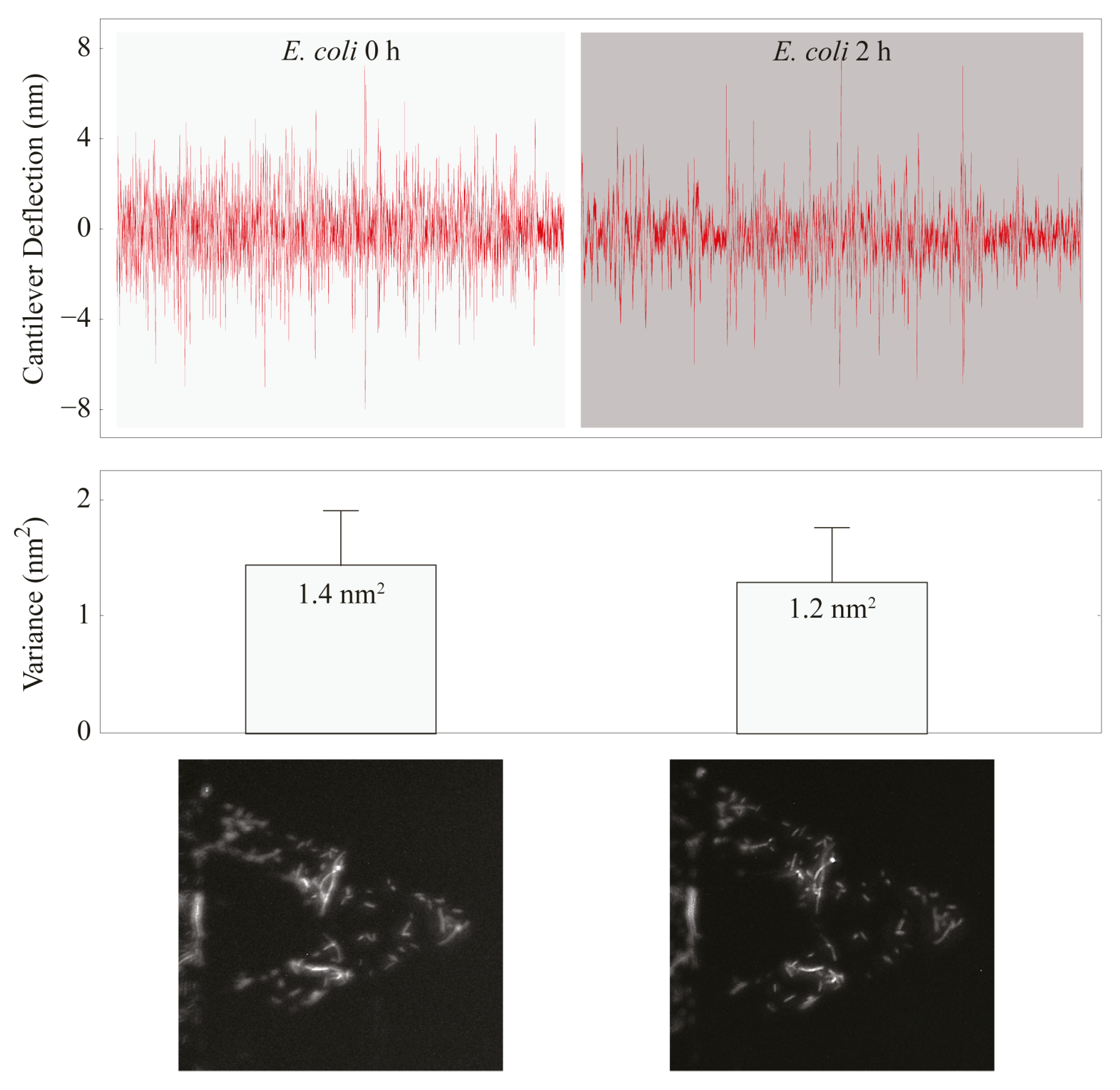 Biosensors 15 00455 g003