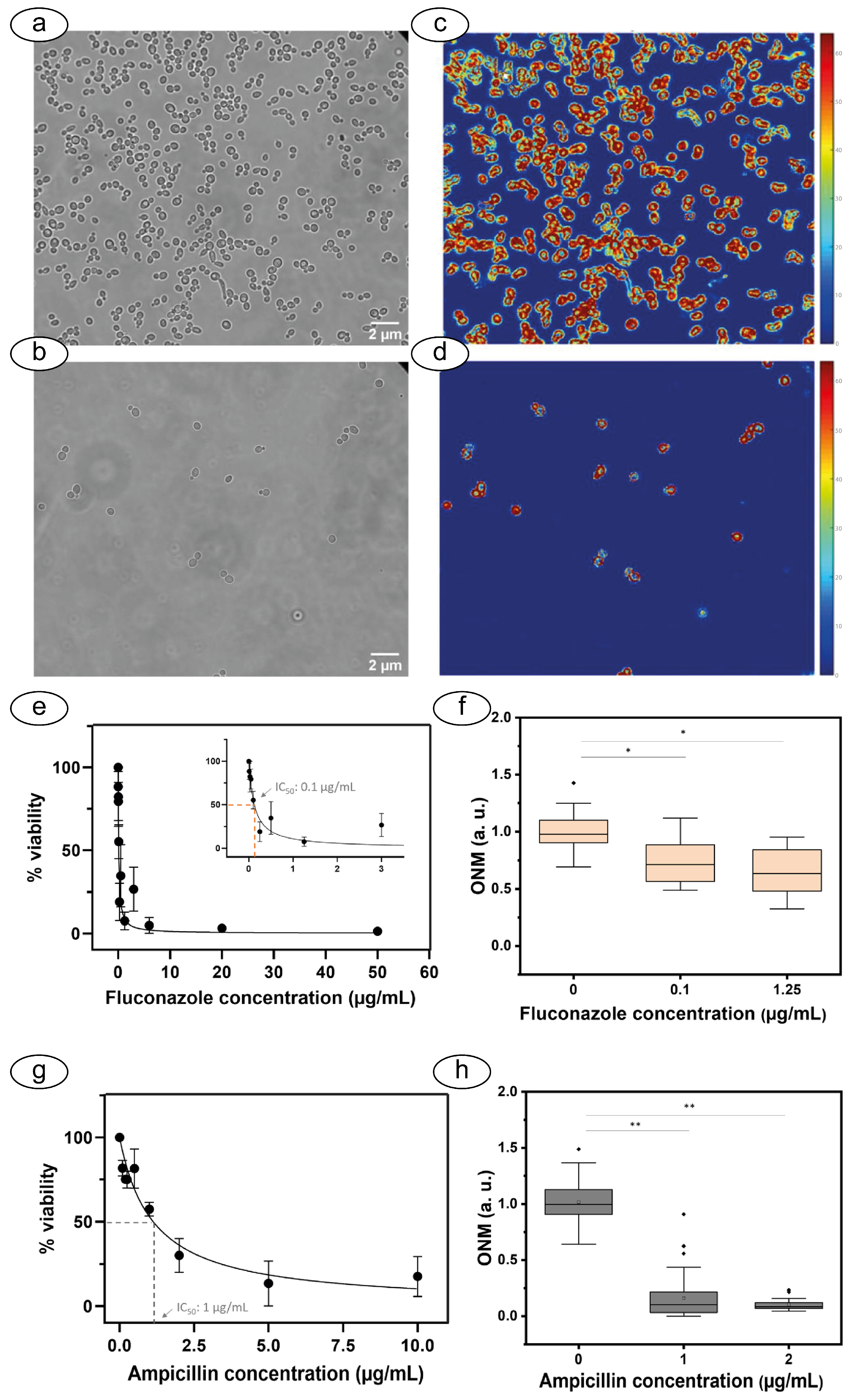 Biosensors 15 00455 g008
