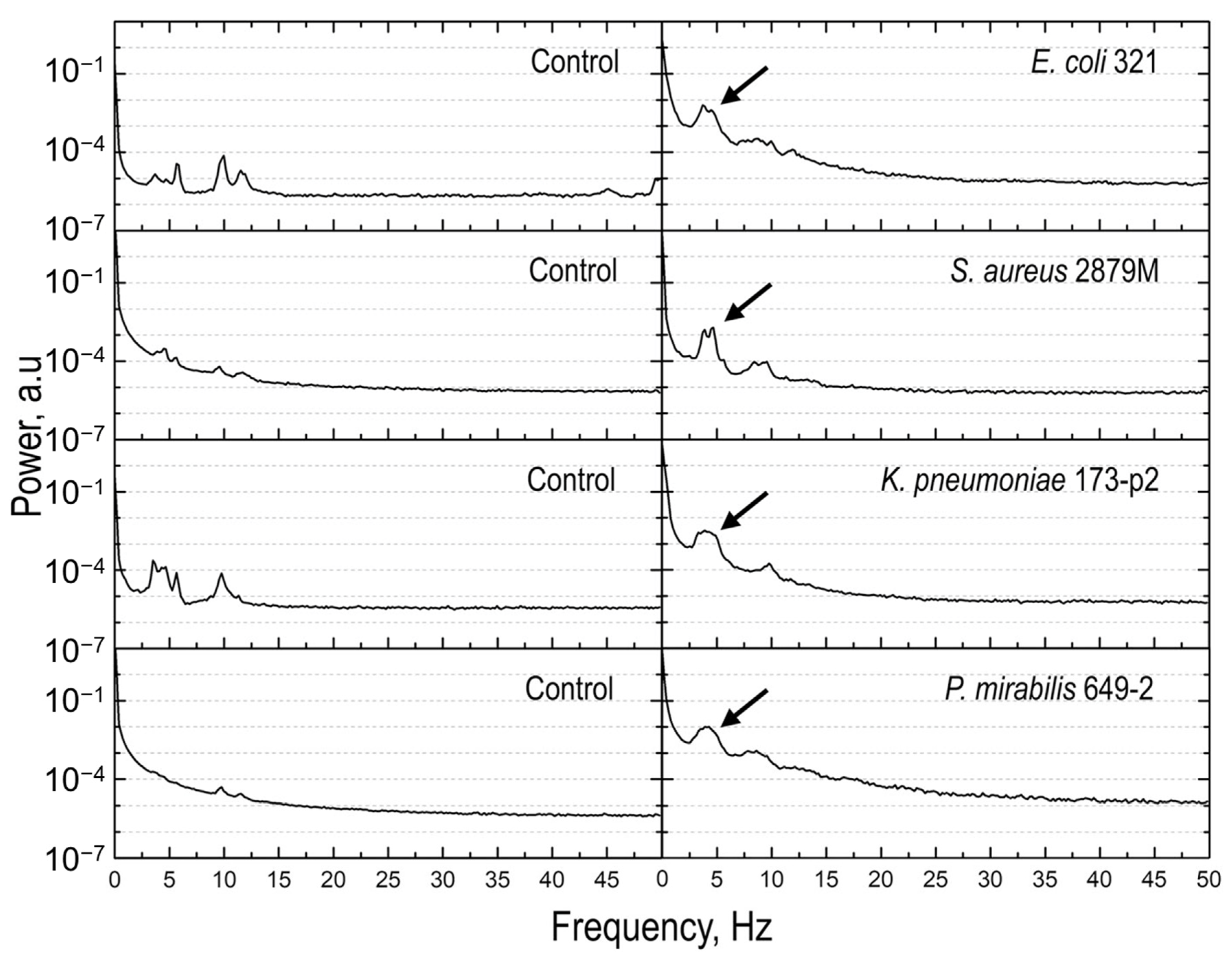 Biosensors 15 00455 g012