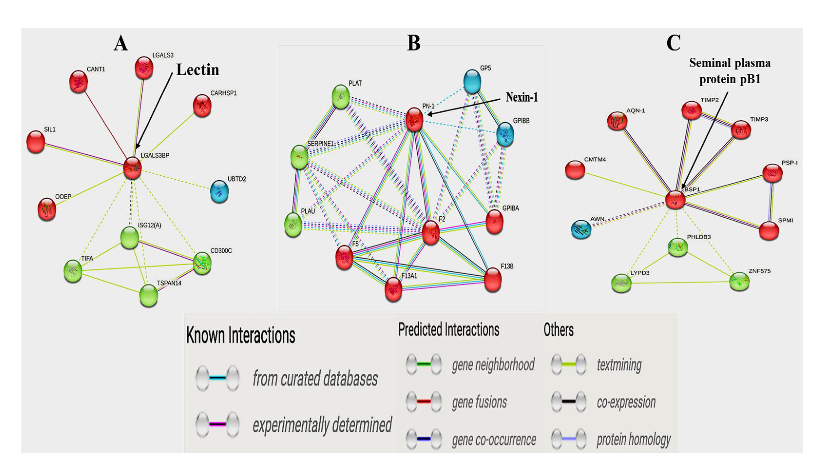 Biosensors 15 00456 g006