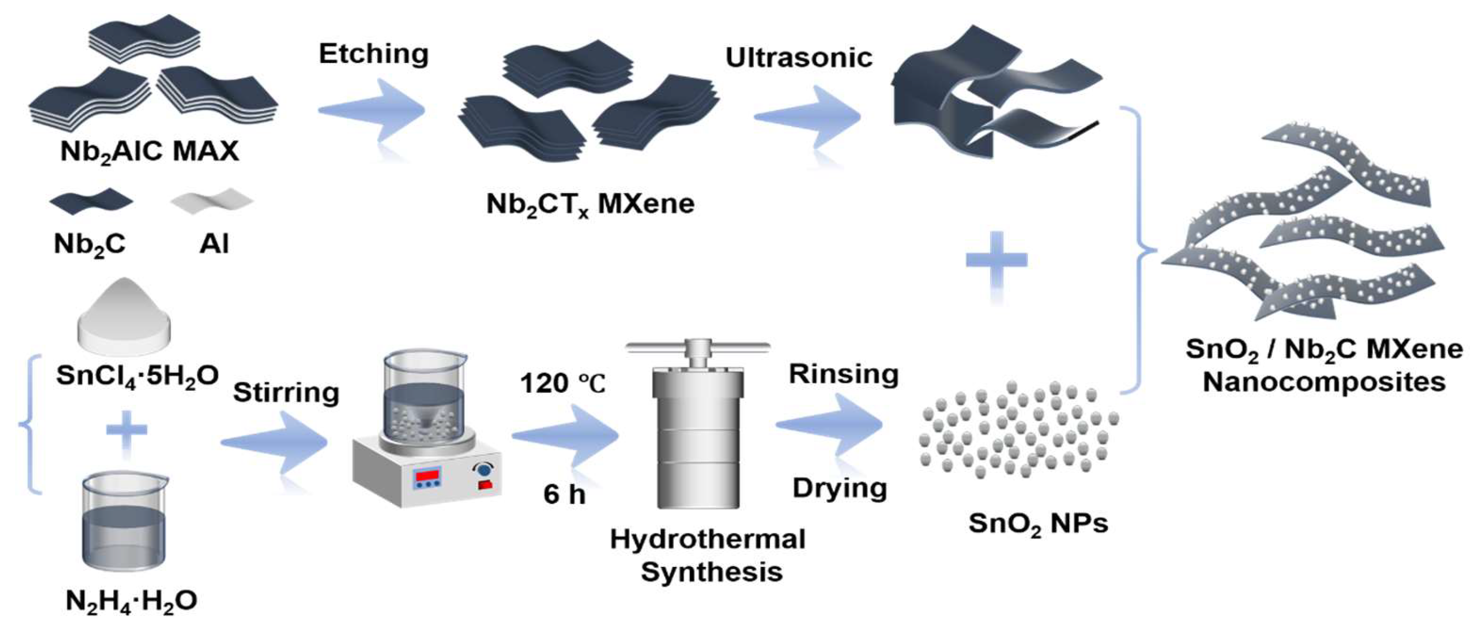 Biosensors 15 00457 g001