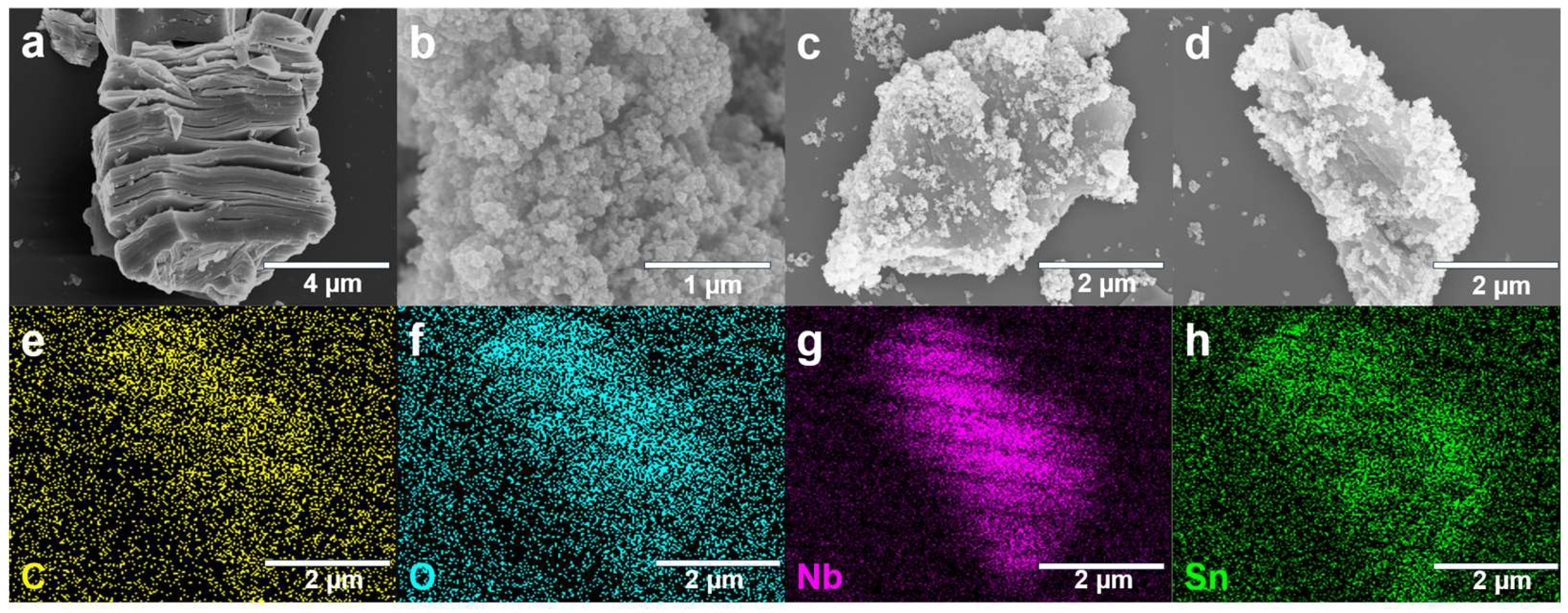 Biosensors 15 00457 g002
