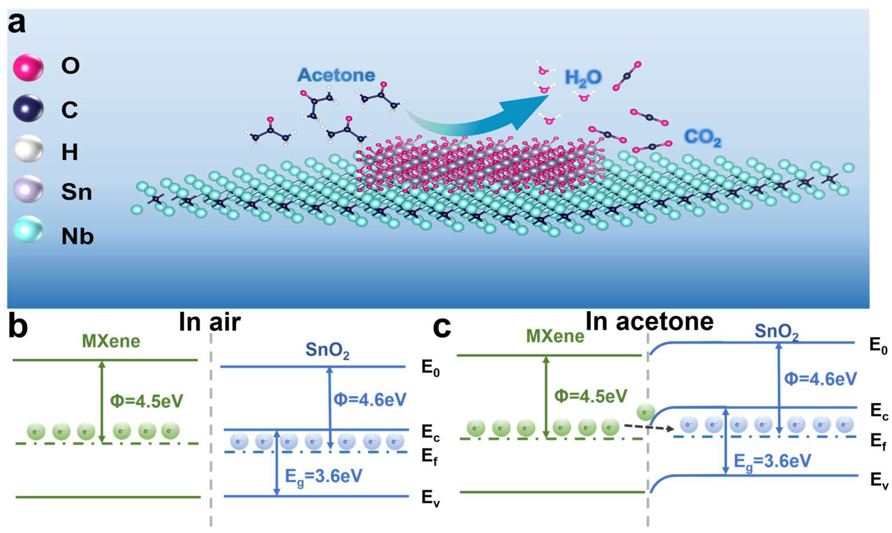 Biosensors 15 00457 g006