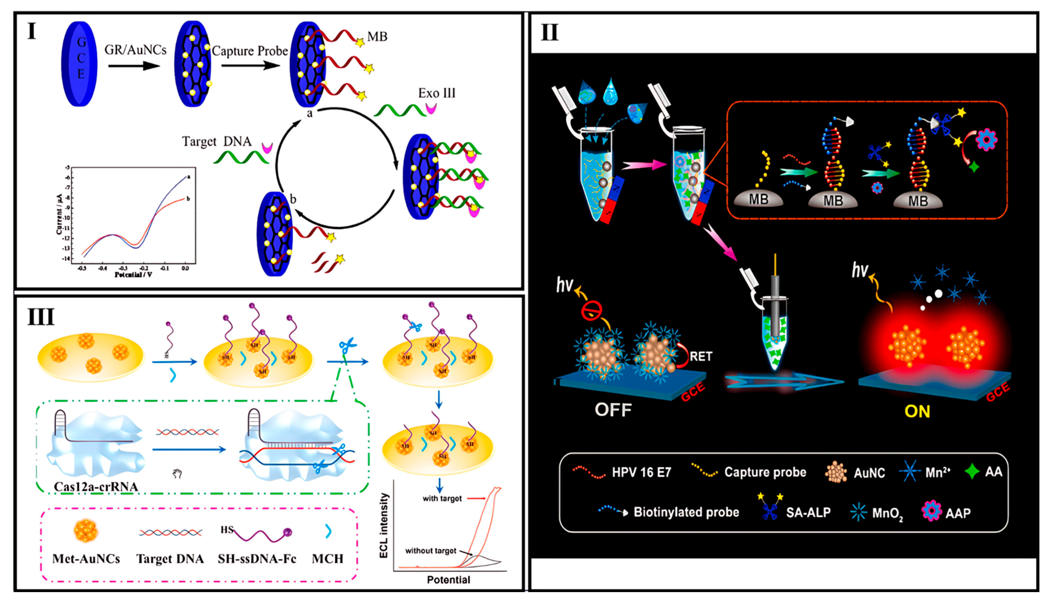 Biosensors 15 00460 g006