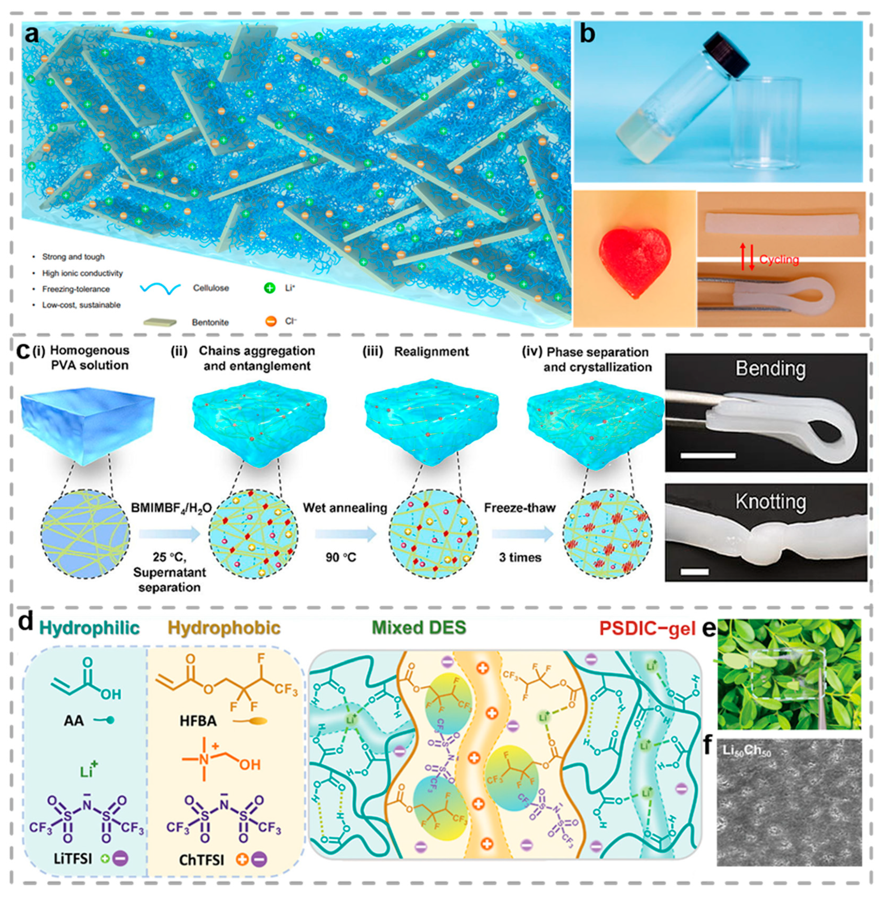 Biosensors 15 00463 g002