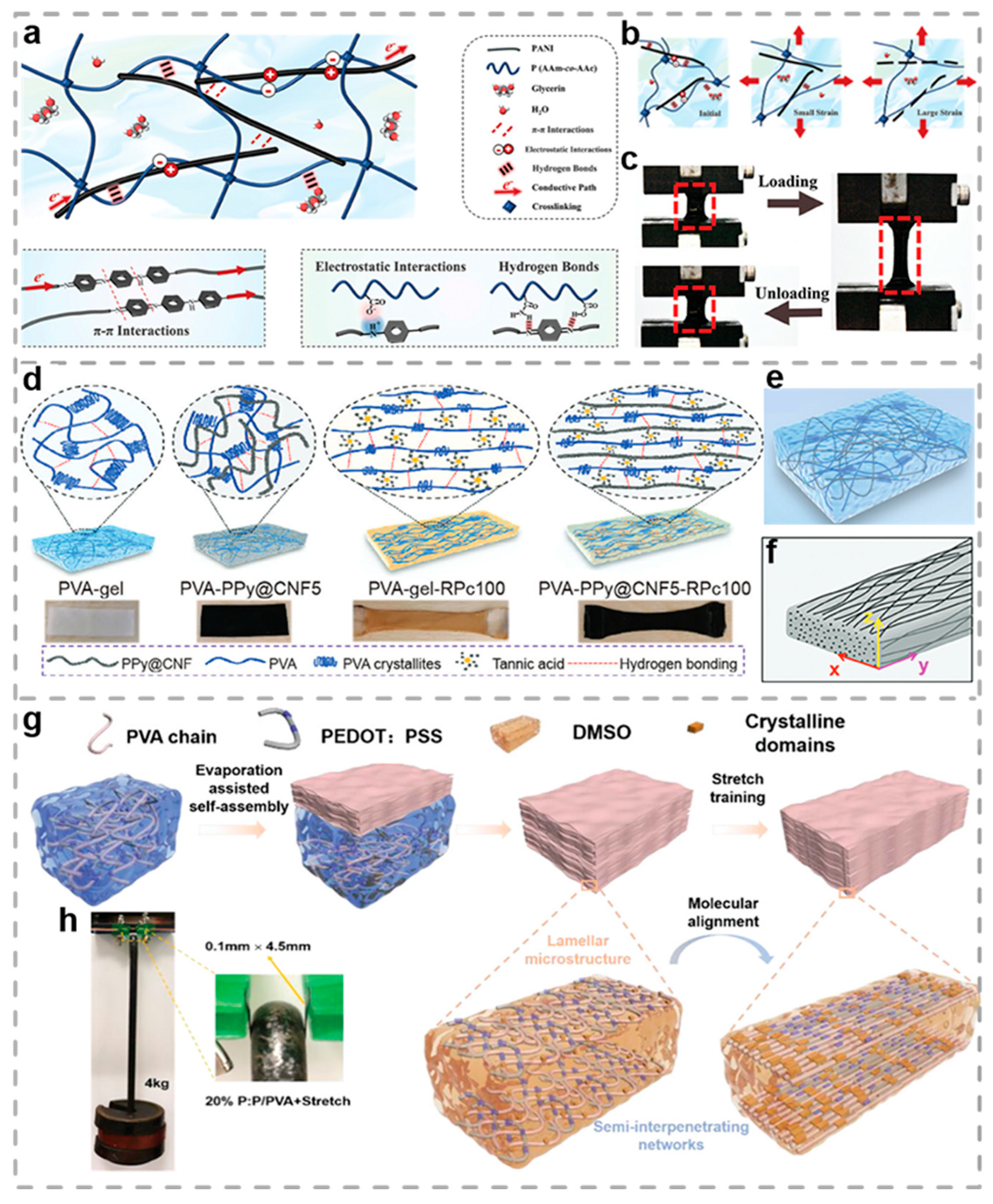 Biosensors 15 00463 g003