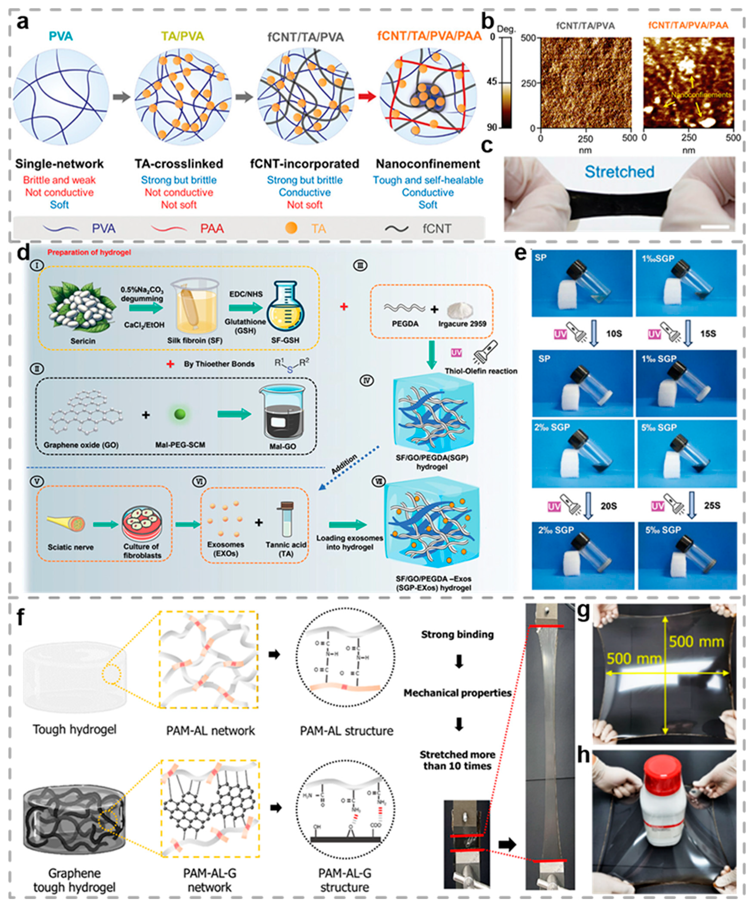 Biosensors 15 00463 g004
