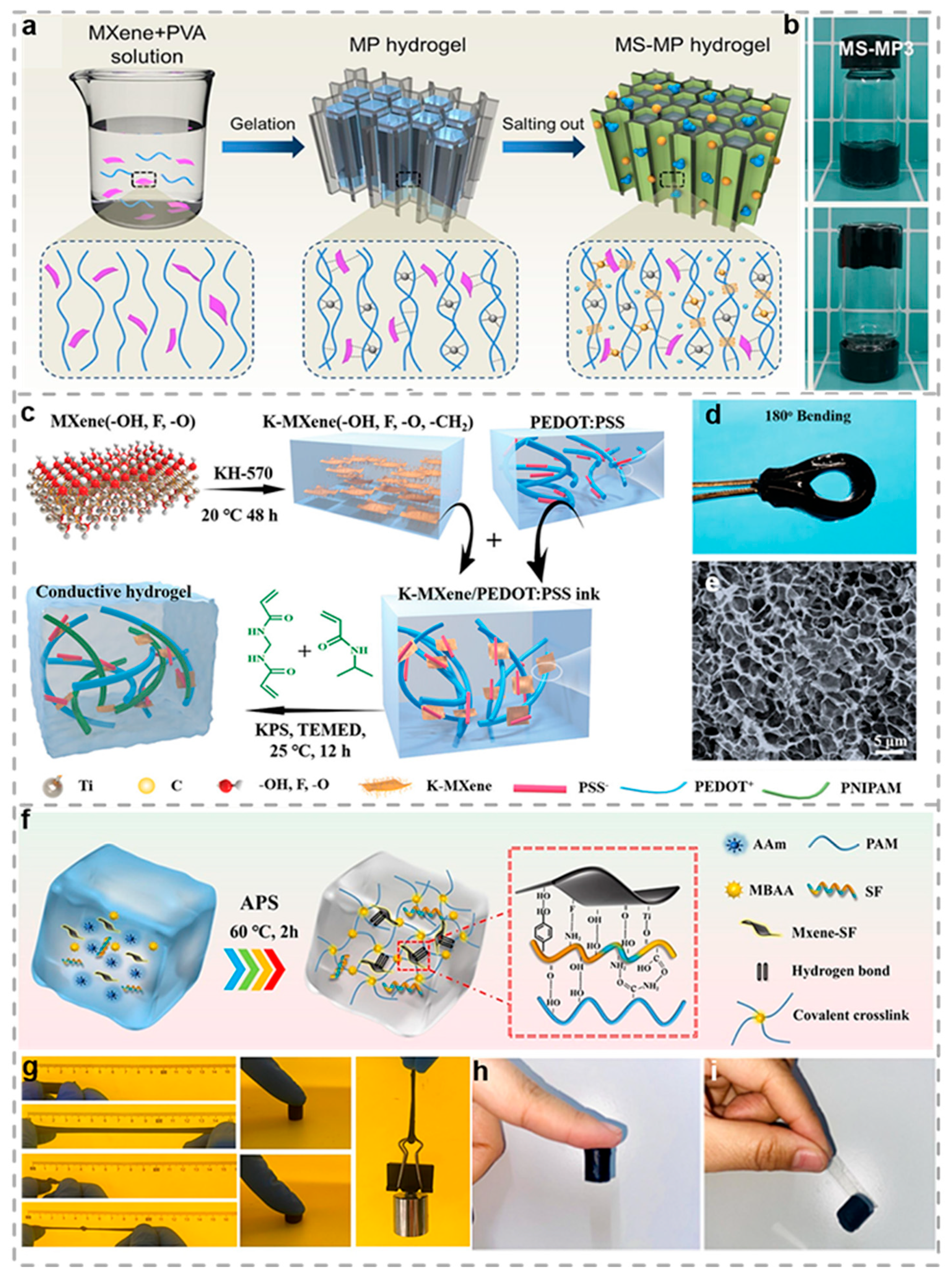 Biosensors 15 00463 g006