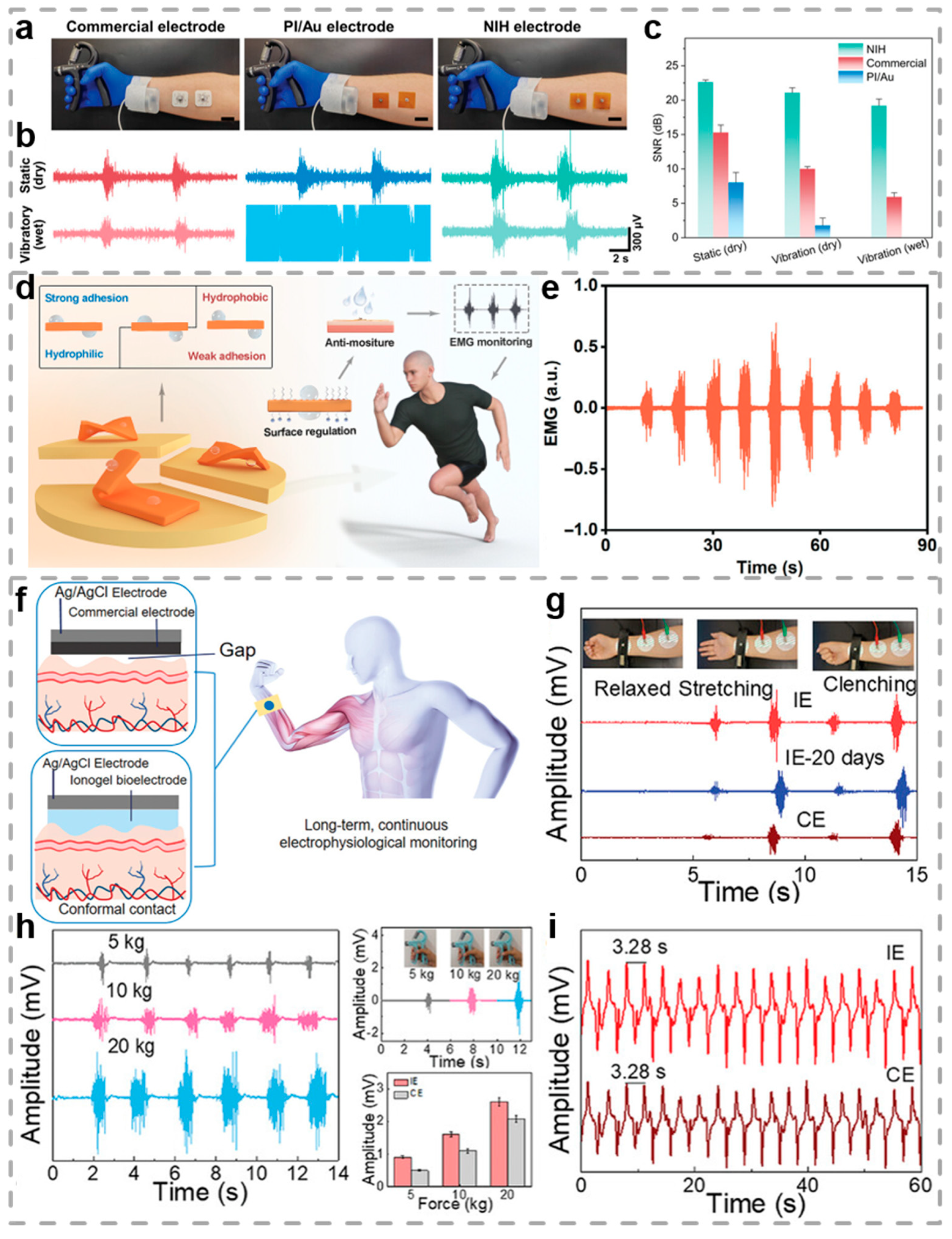 Biosensors 15 00463 g009
