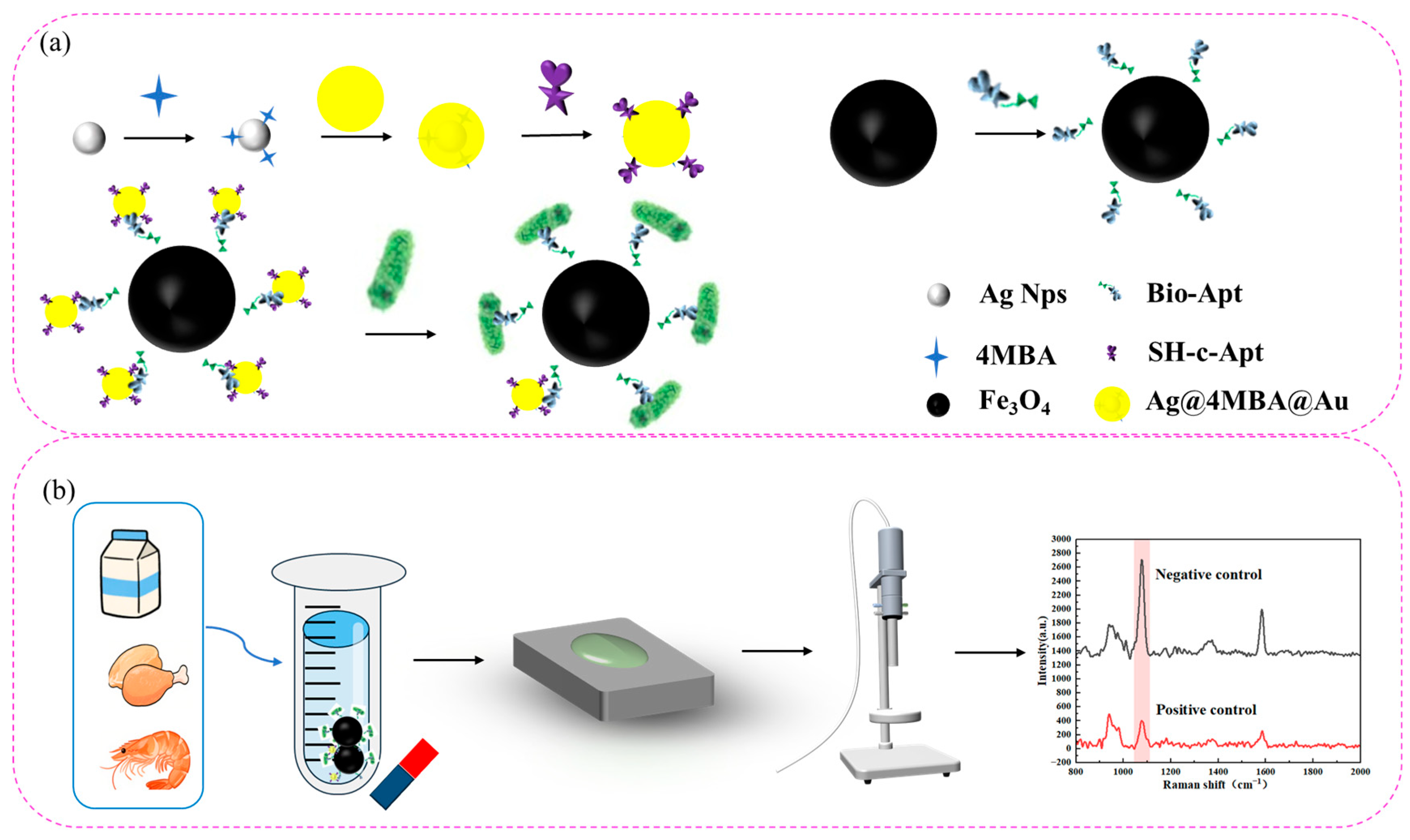 Biosensors 15 00464 g001