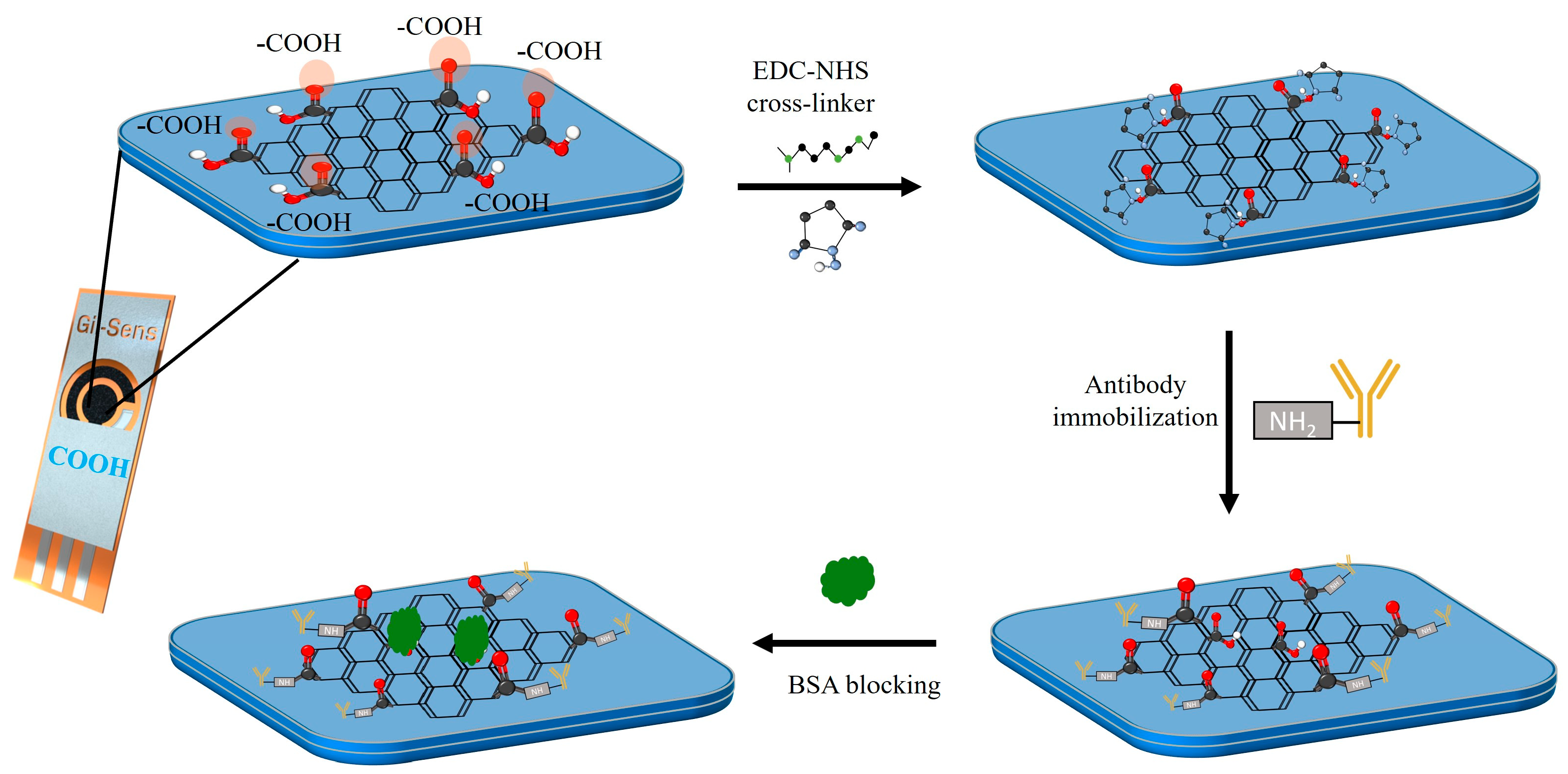 Biosensors 15 00465 g001 Biosensors 15 00465 g001