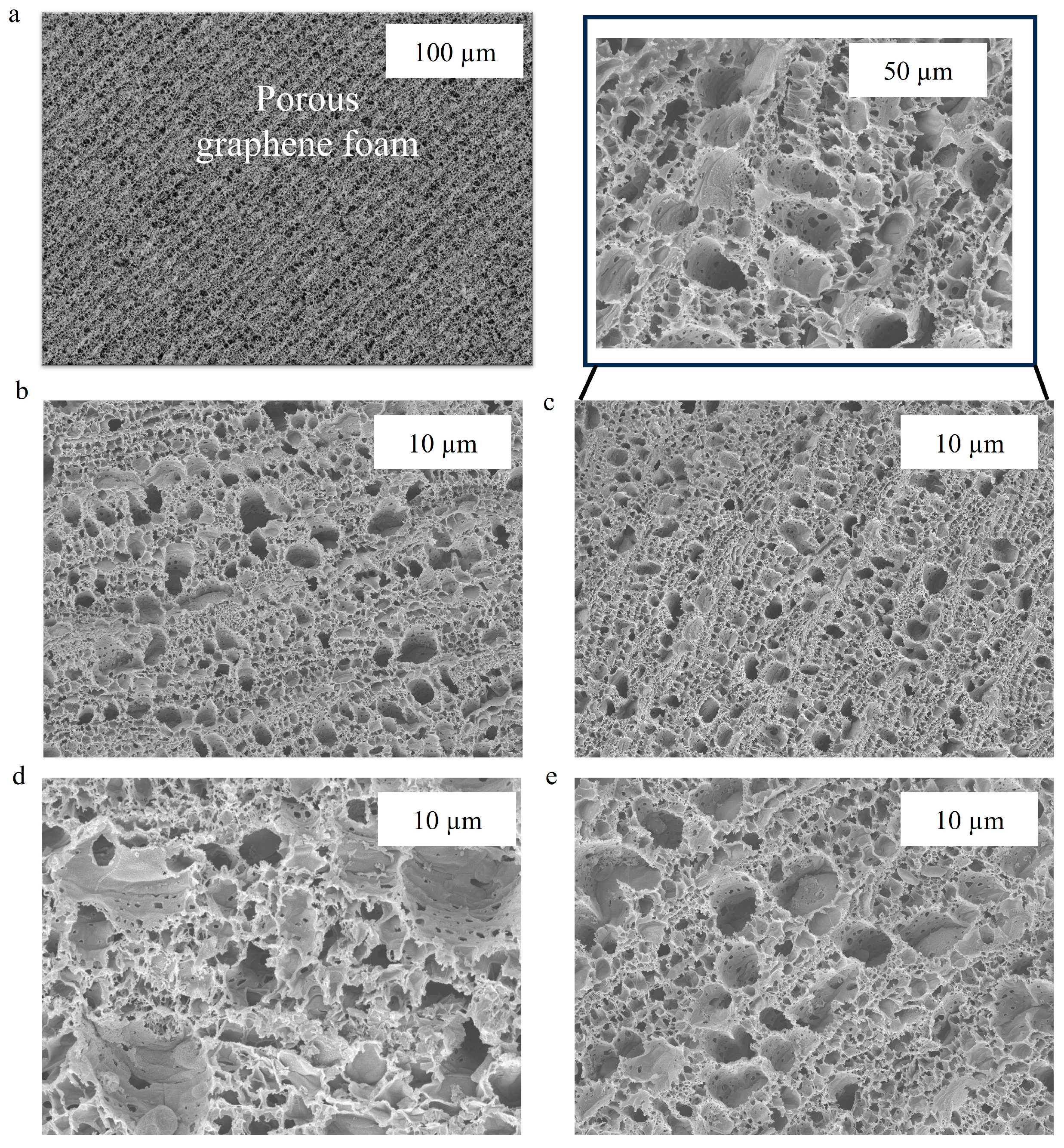 Biosensors 15 00465 g002 Biosensors 15 00465 g002