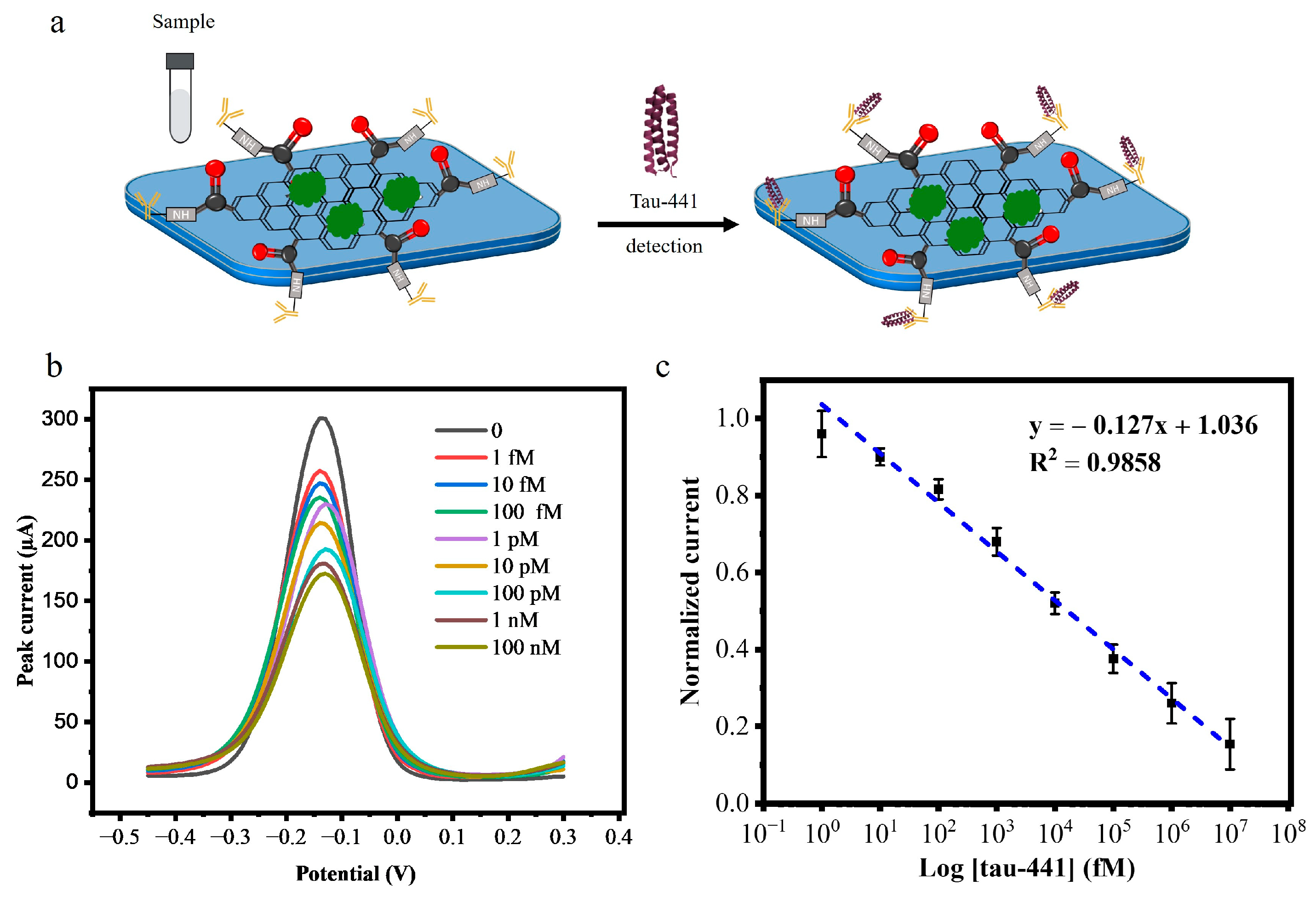 Biosensors 15 00465 g004 Biosensors 15 00465 g004