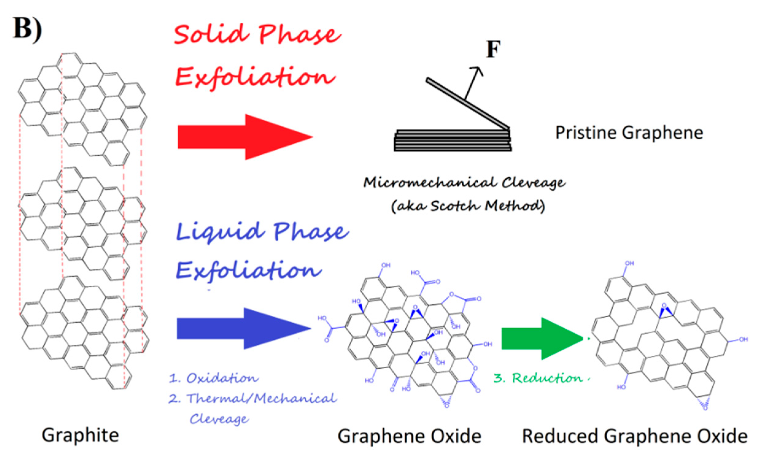 Biosensors 15 00467 g003b