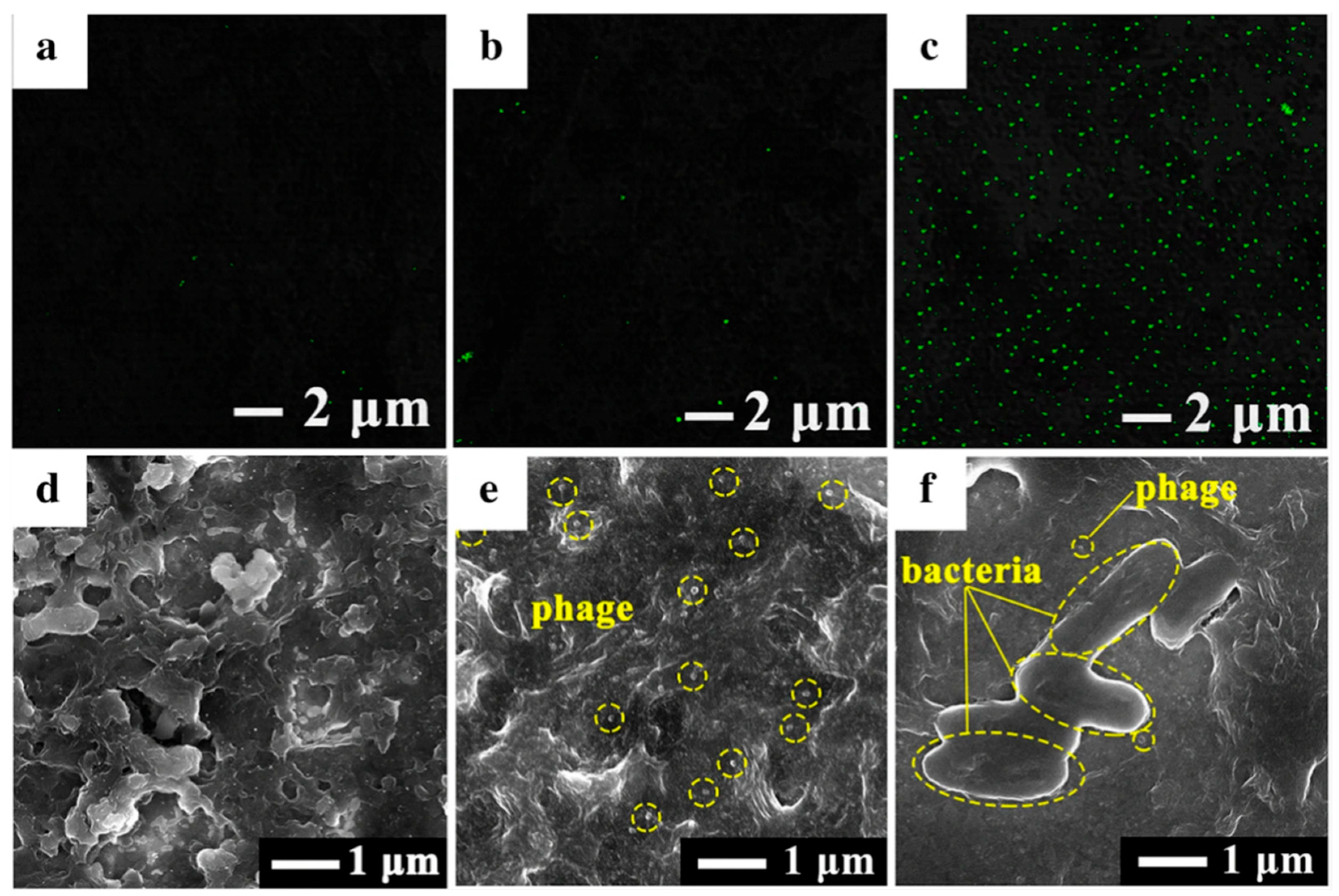Biosensors 15 00467 g008