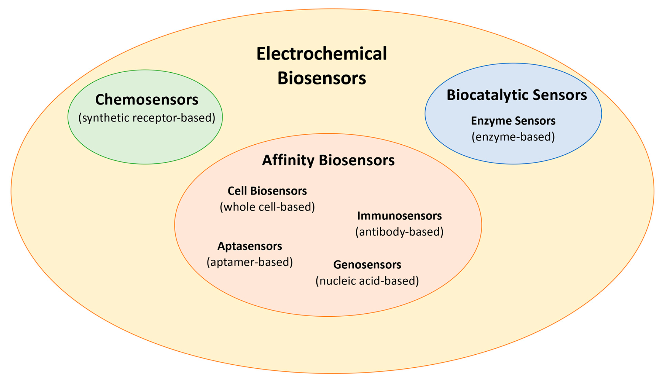 Biosensors 15 00468 g001