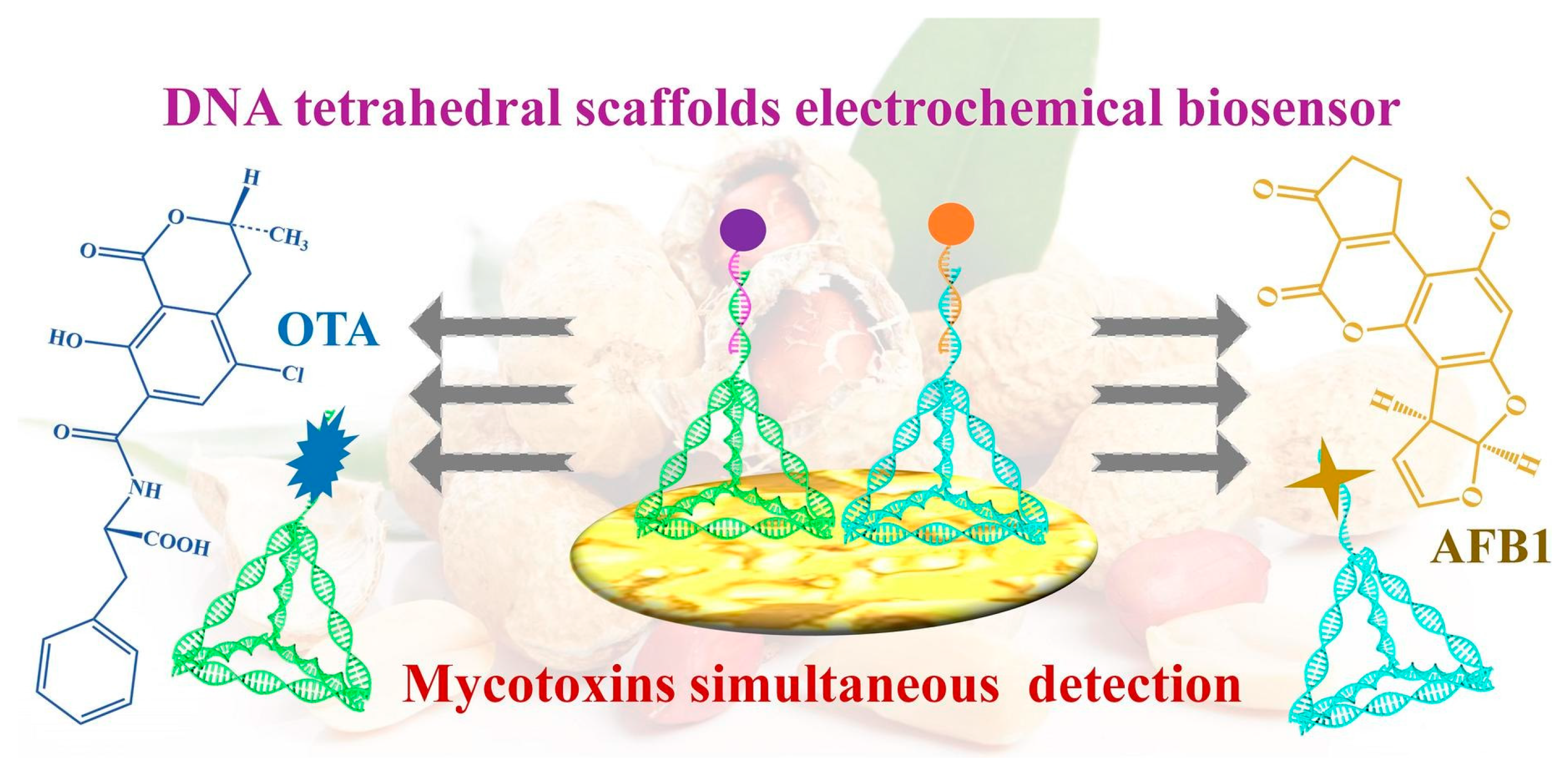 Biosensors 15 00468 g003
