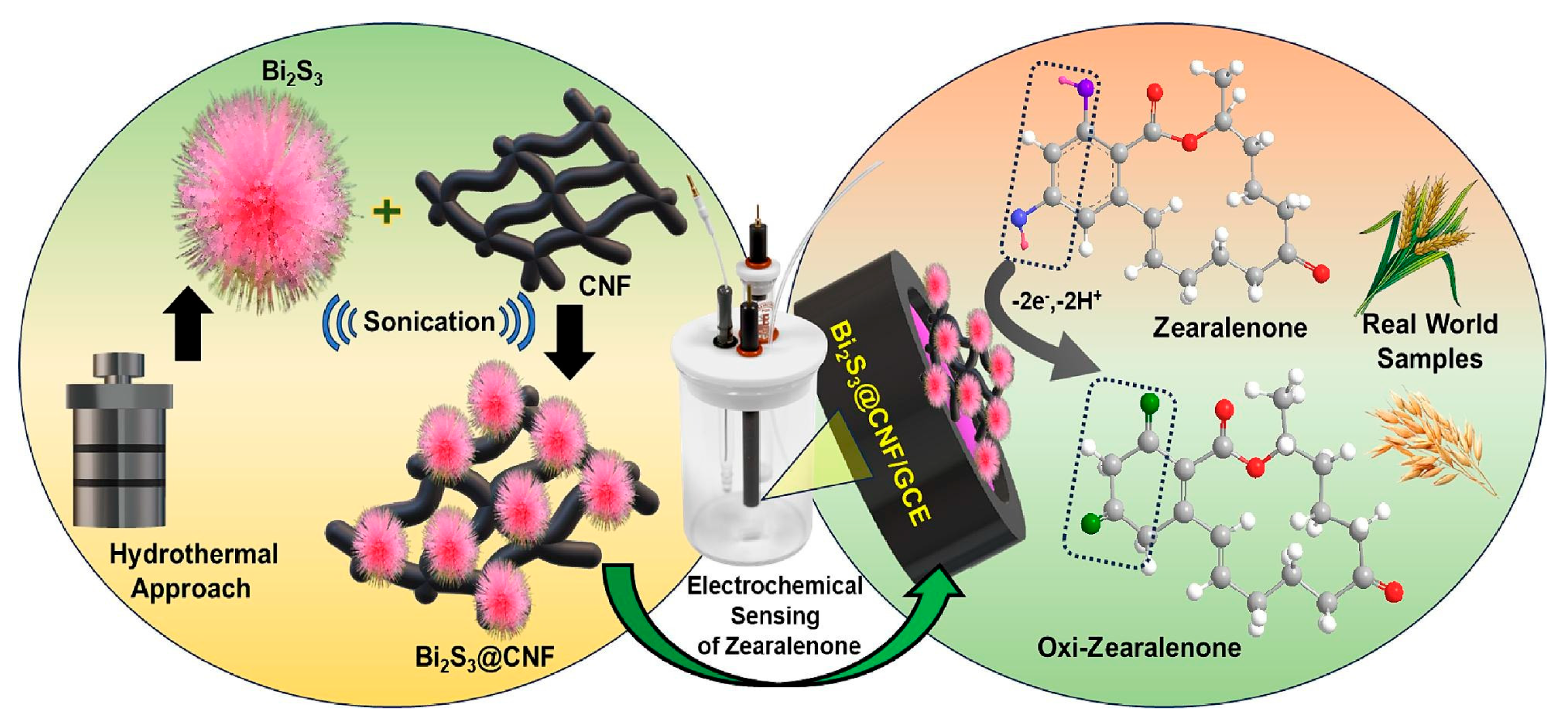 Biosensors 15 00468 g004