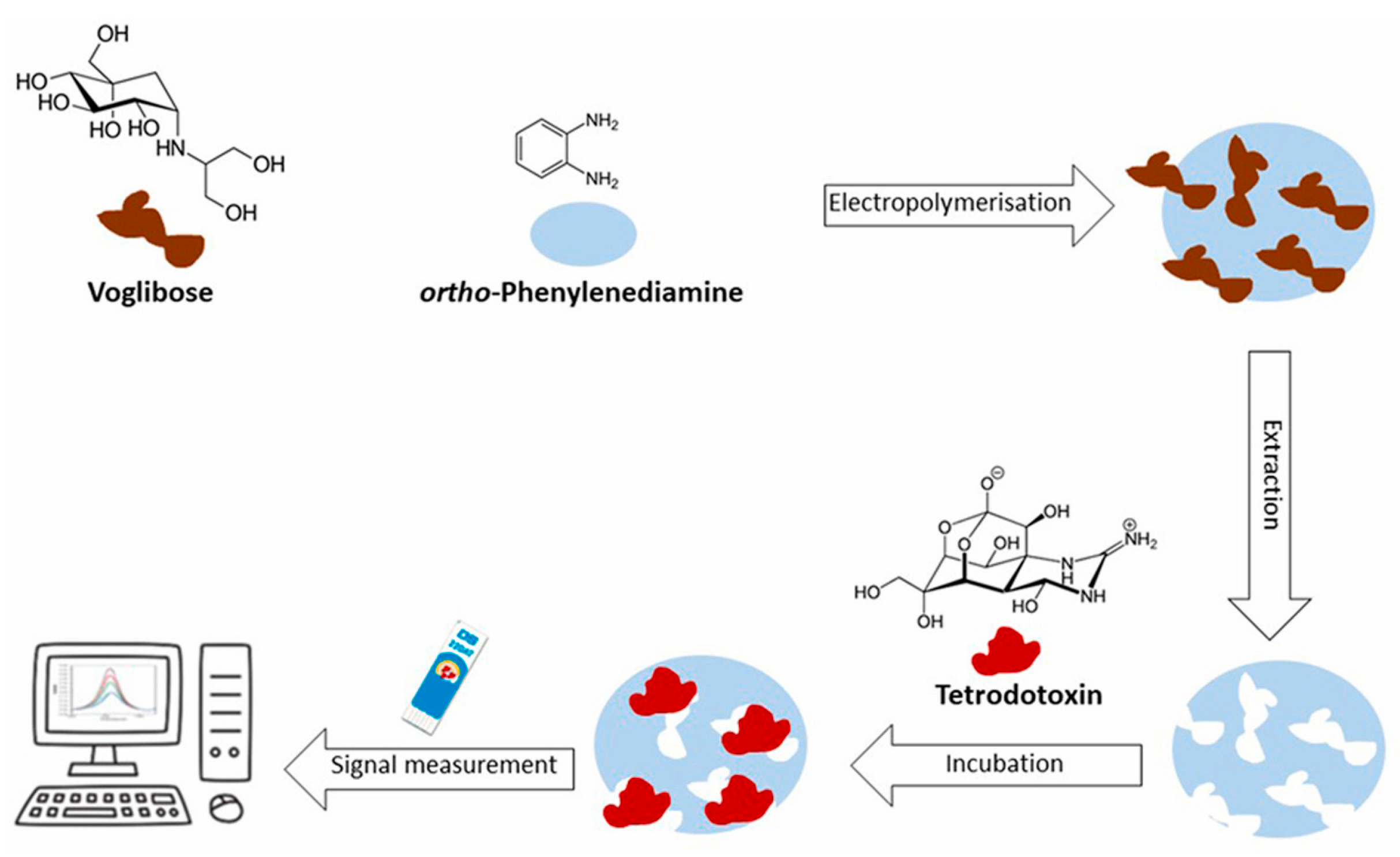 Biosensors 15 00468 g005