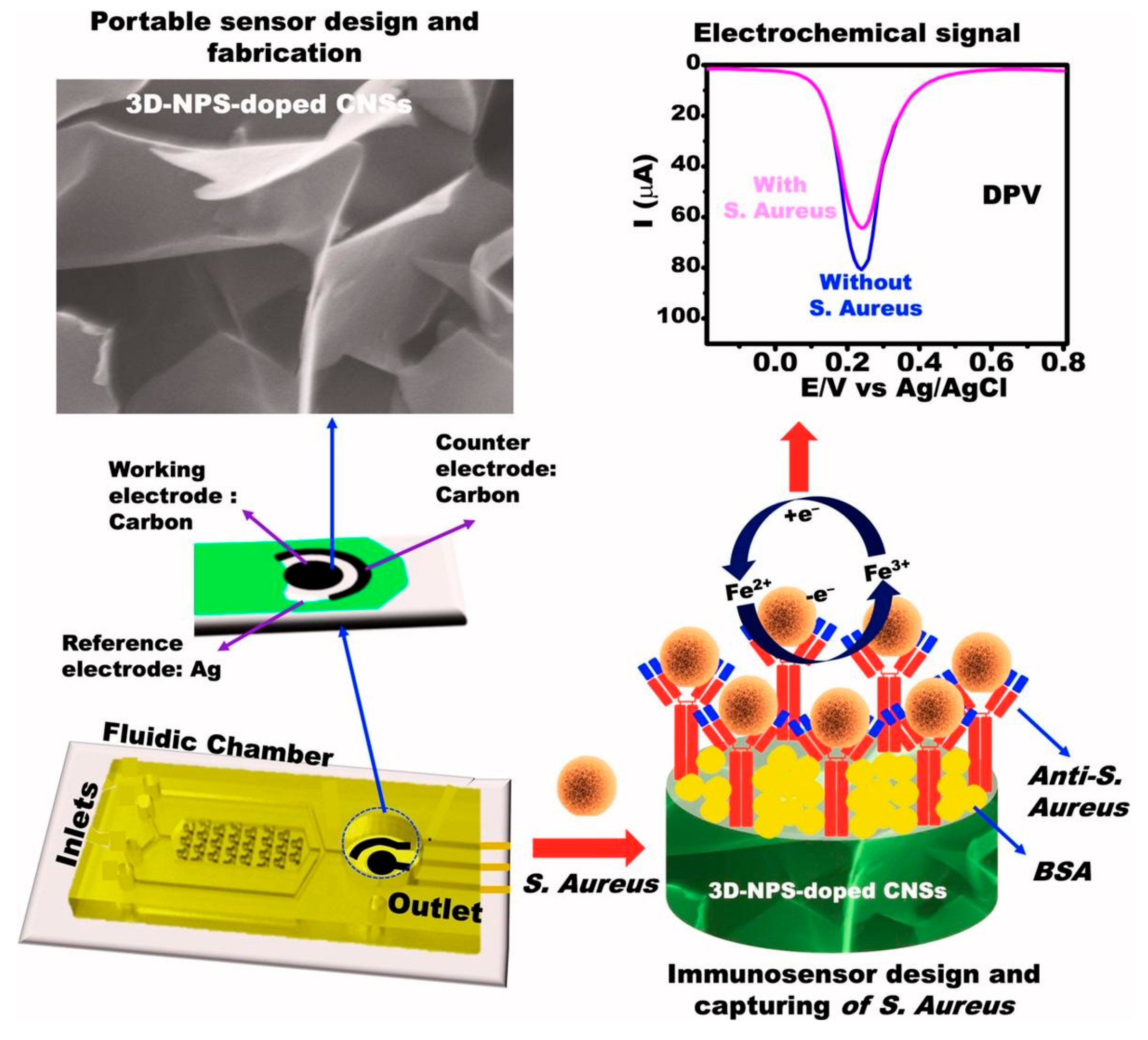 Biosensors 15 00468 g006