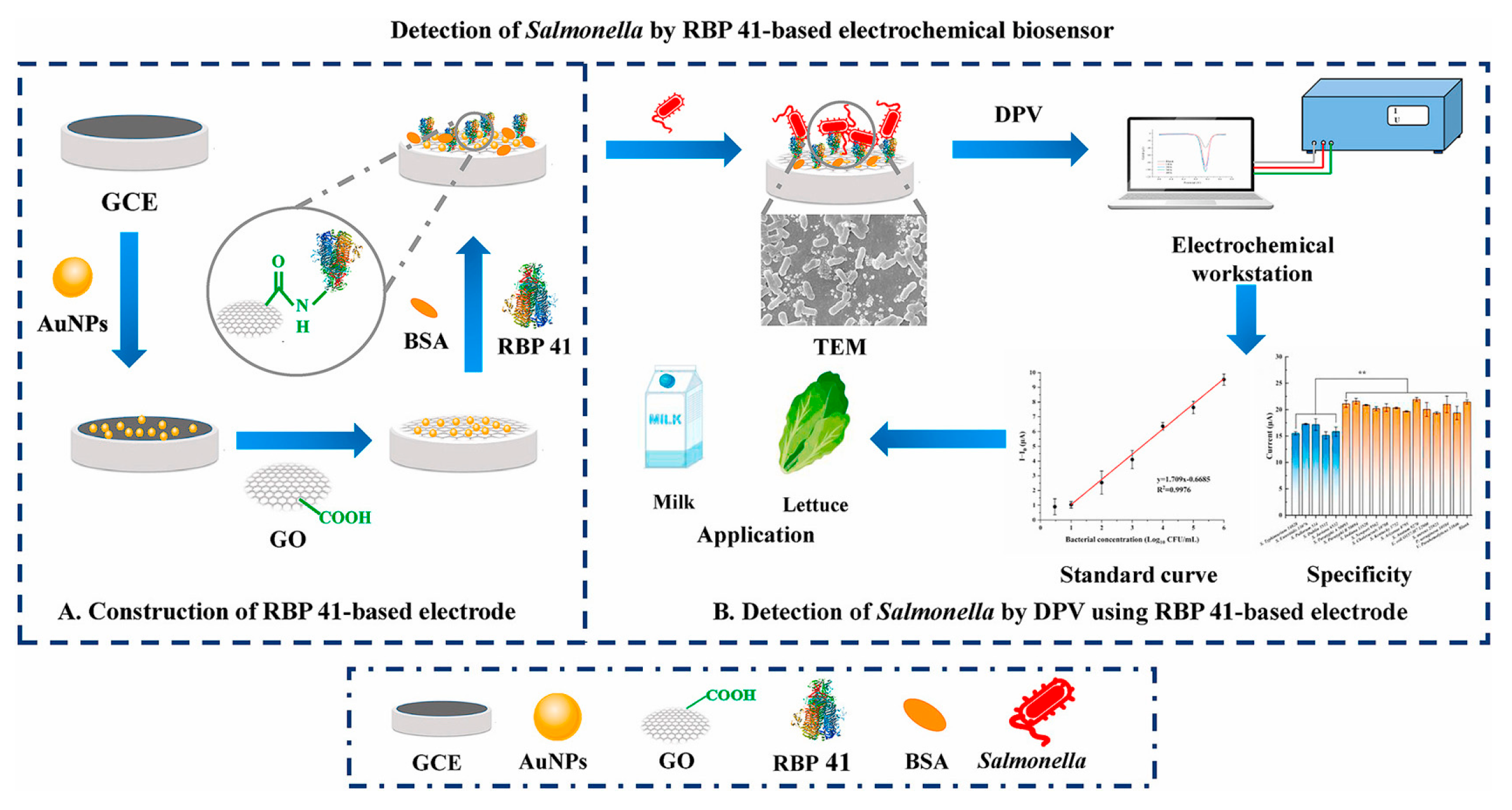 Biosensors 15 00468 g008