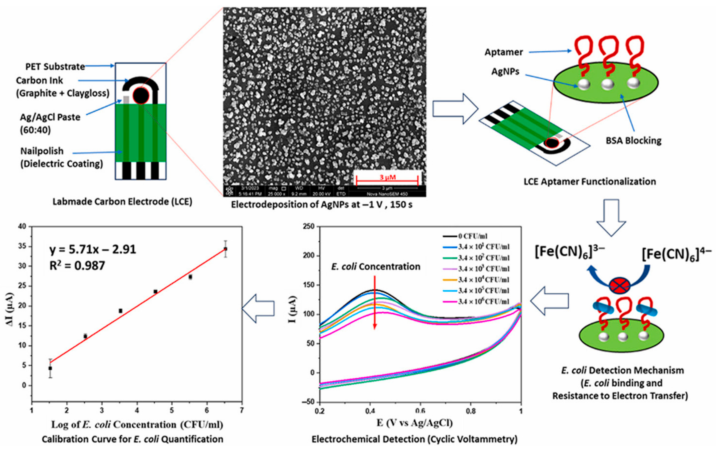 Biosensors 15 00468 g009