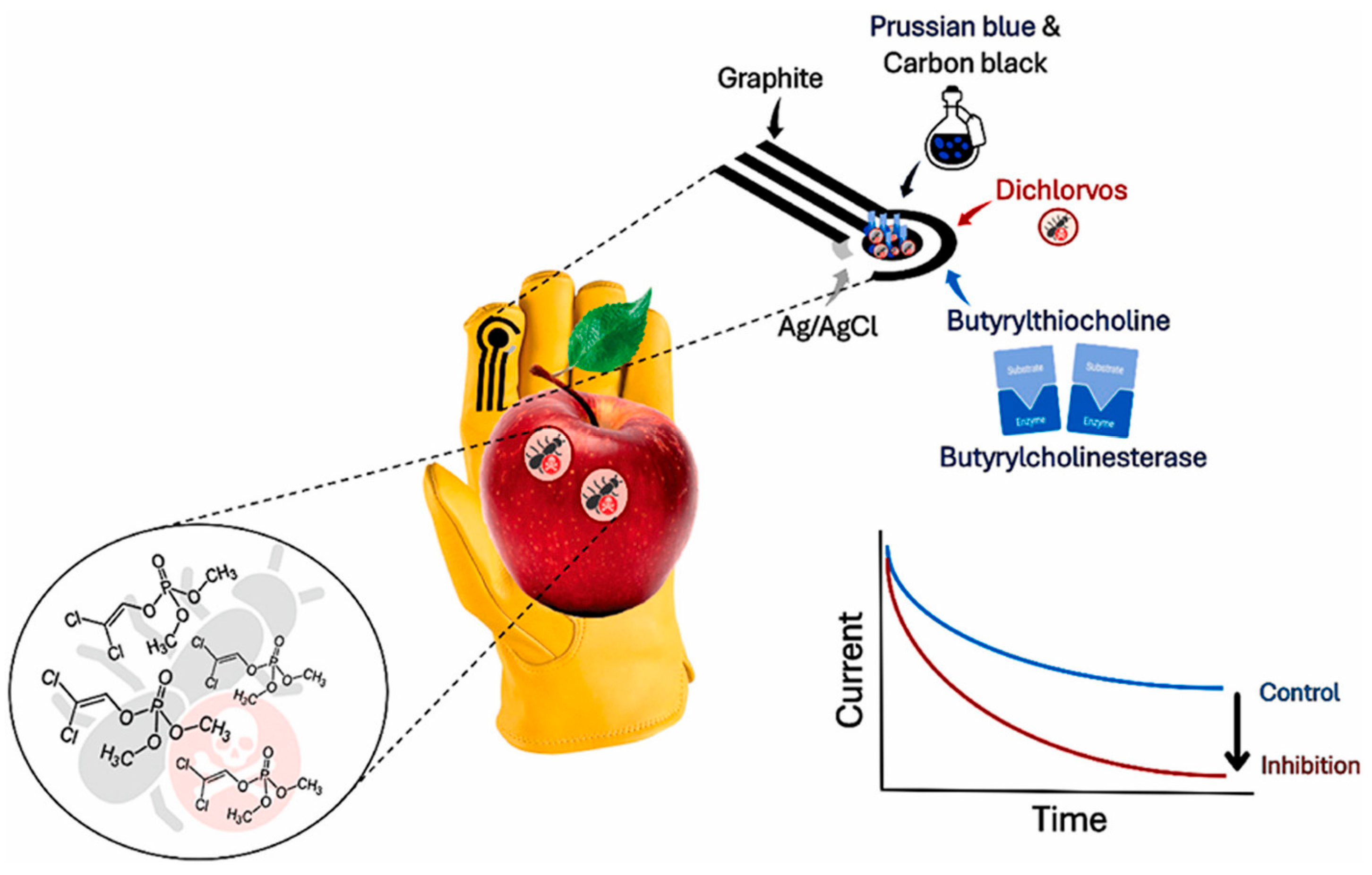 Biosensors 15 00468 g011