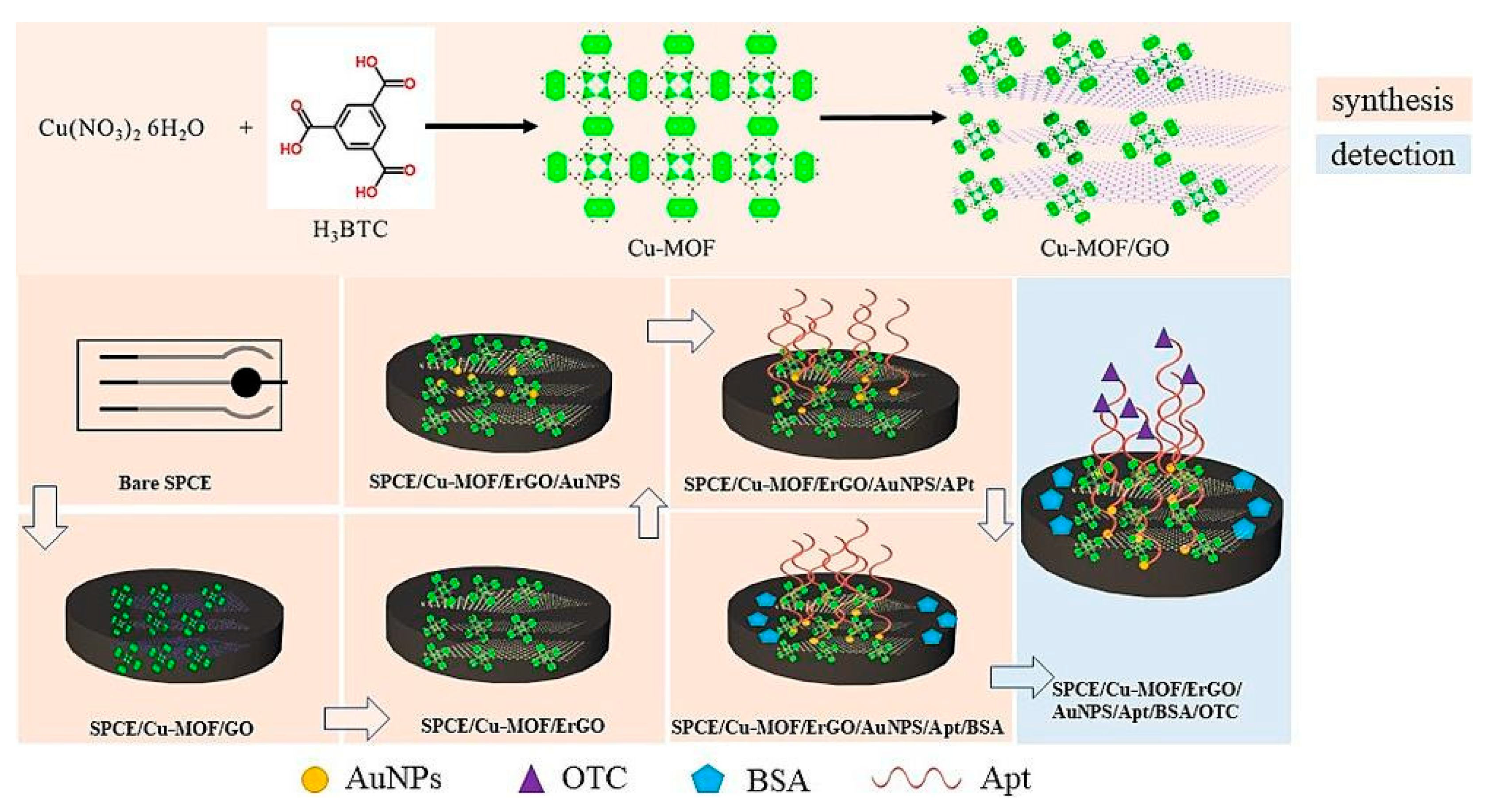 Biosensors 15 00468 g012