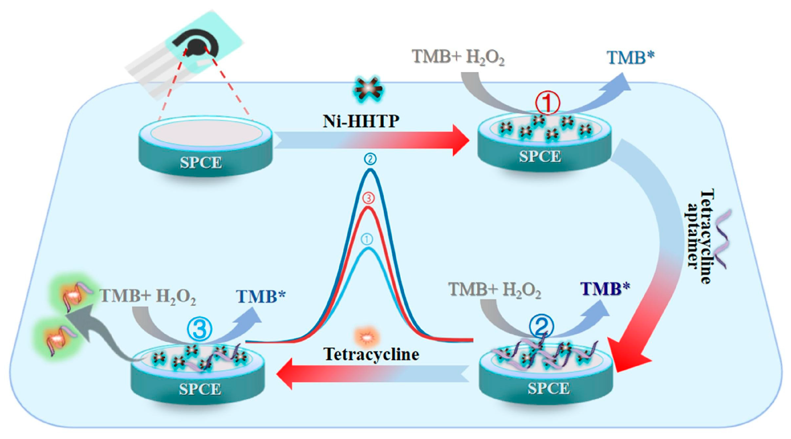 Biosensors 15 00468 g013