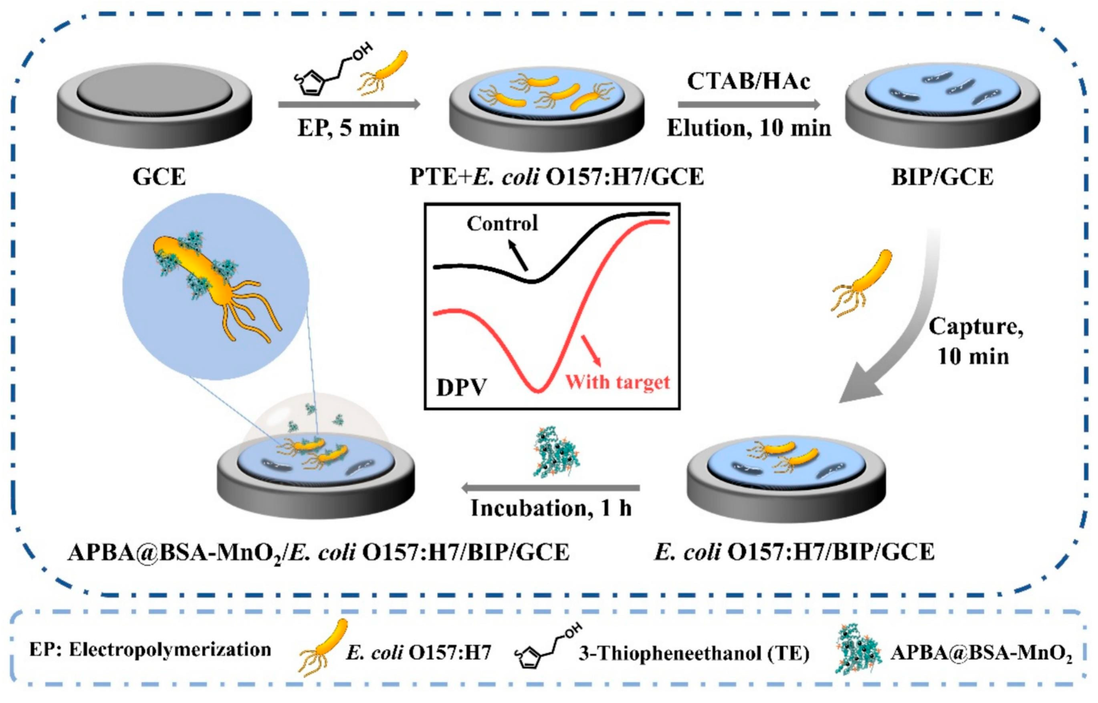 Biosensors 15 00468 g014
