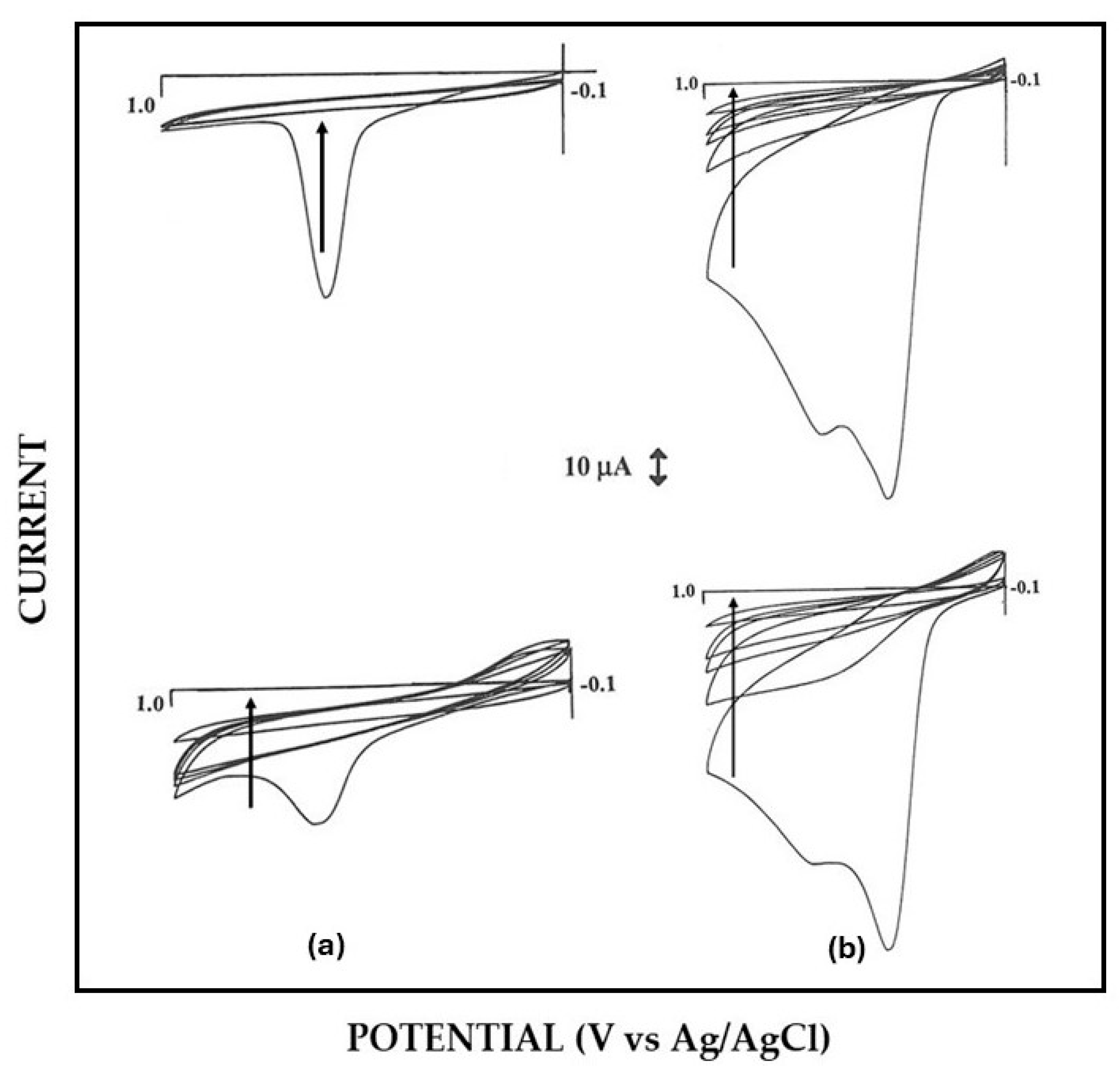Biosensors 15 00470 g003