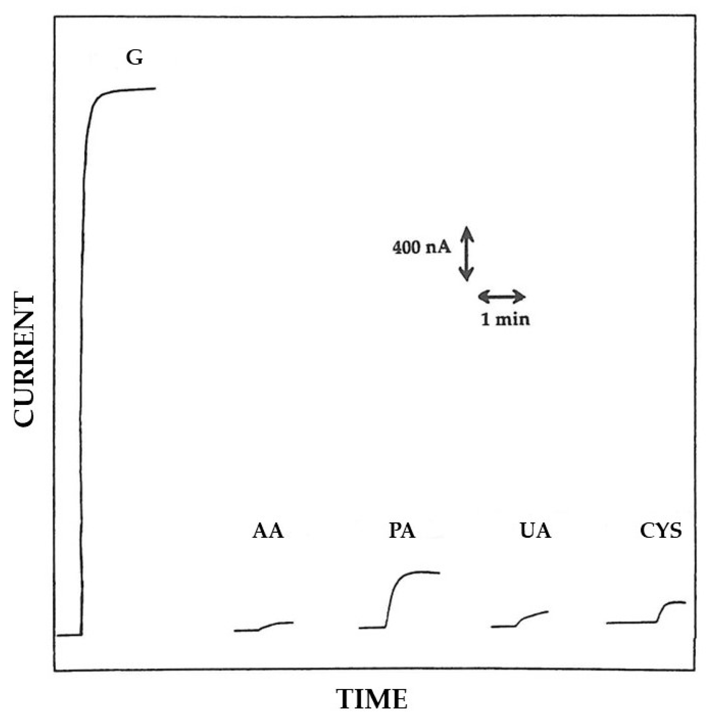 Biosensors 15 00470 g007