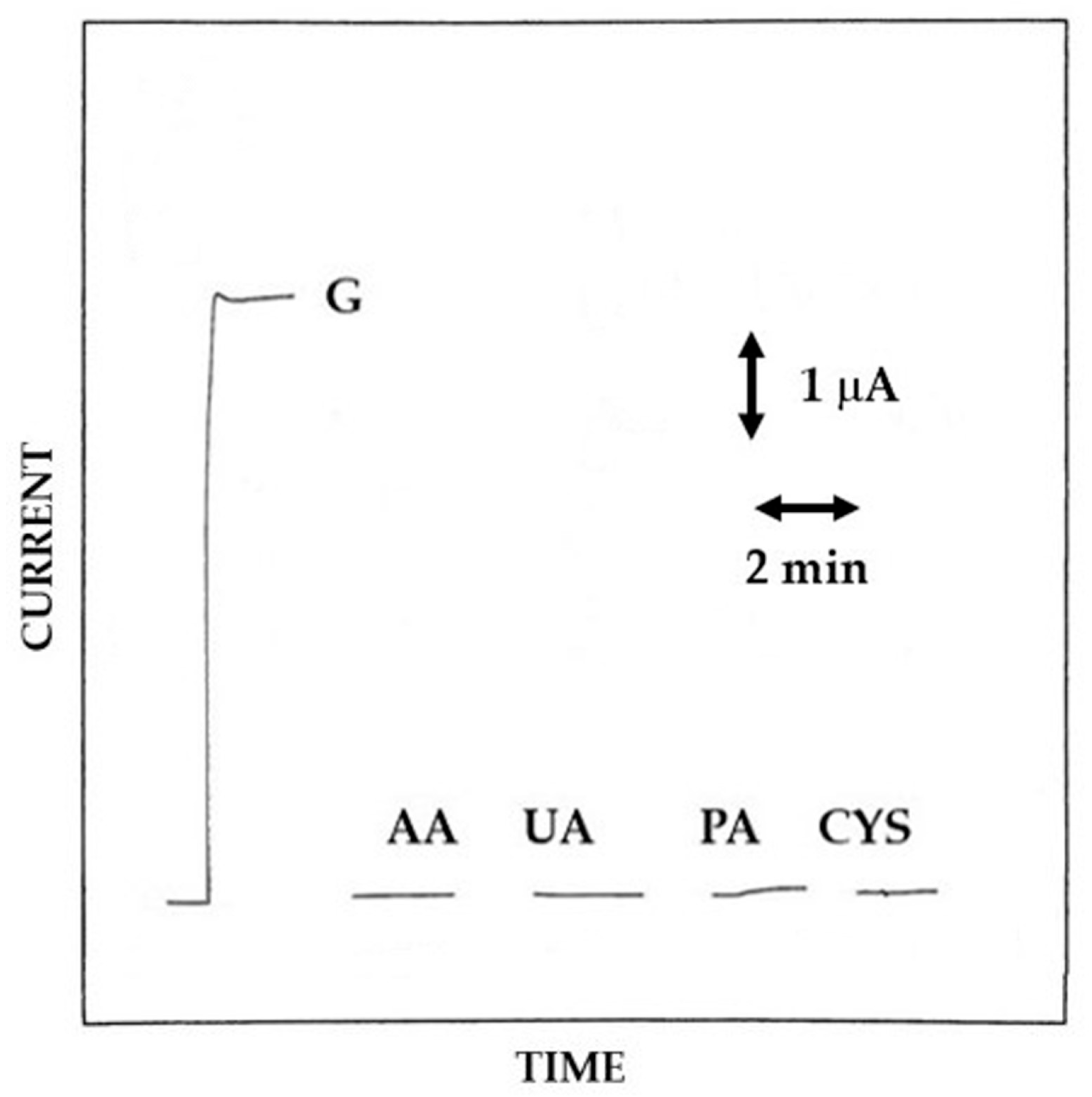 Biosensors 15 00470 g009