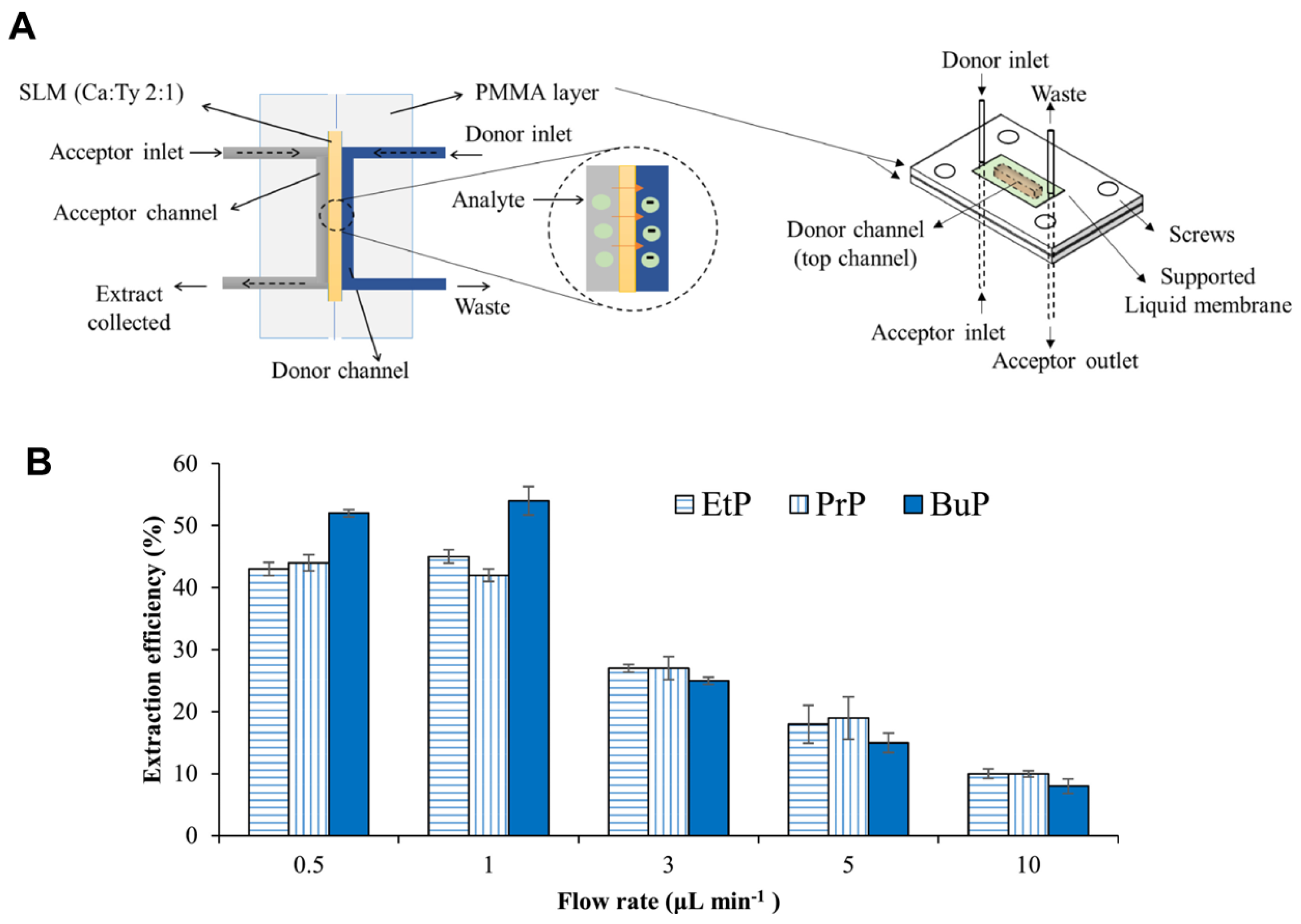 Biosensors 15 00474 g004
