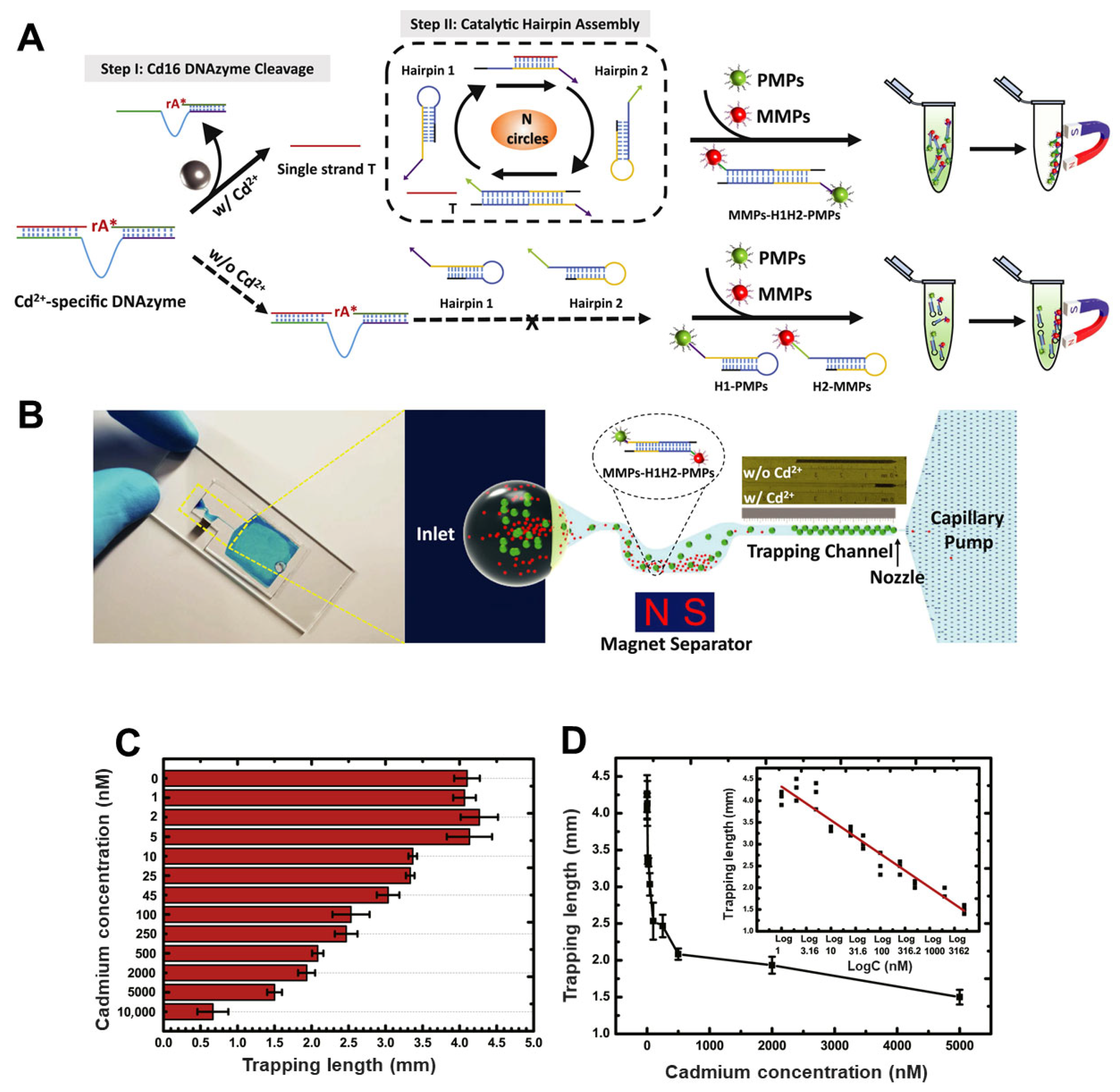 Biosensors 15 00474 g005